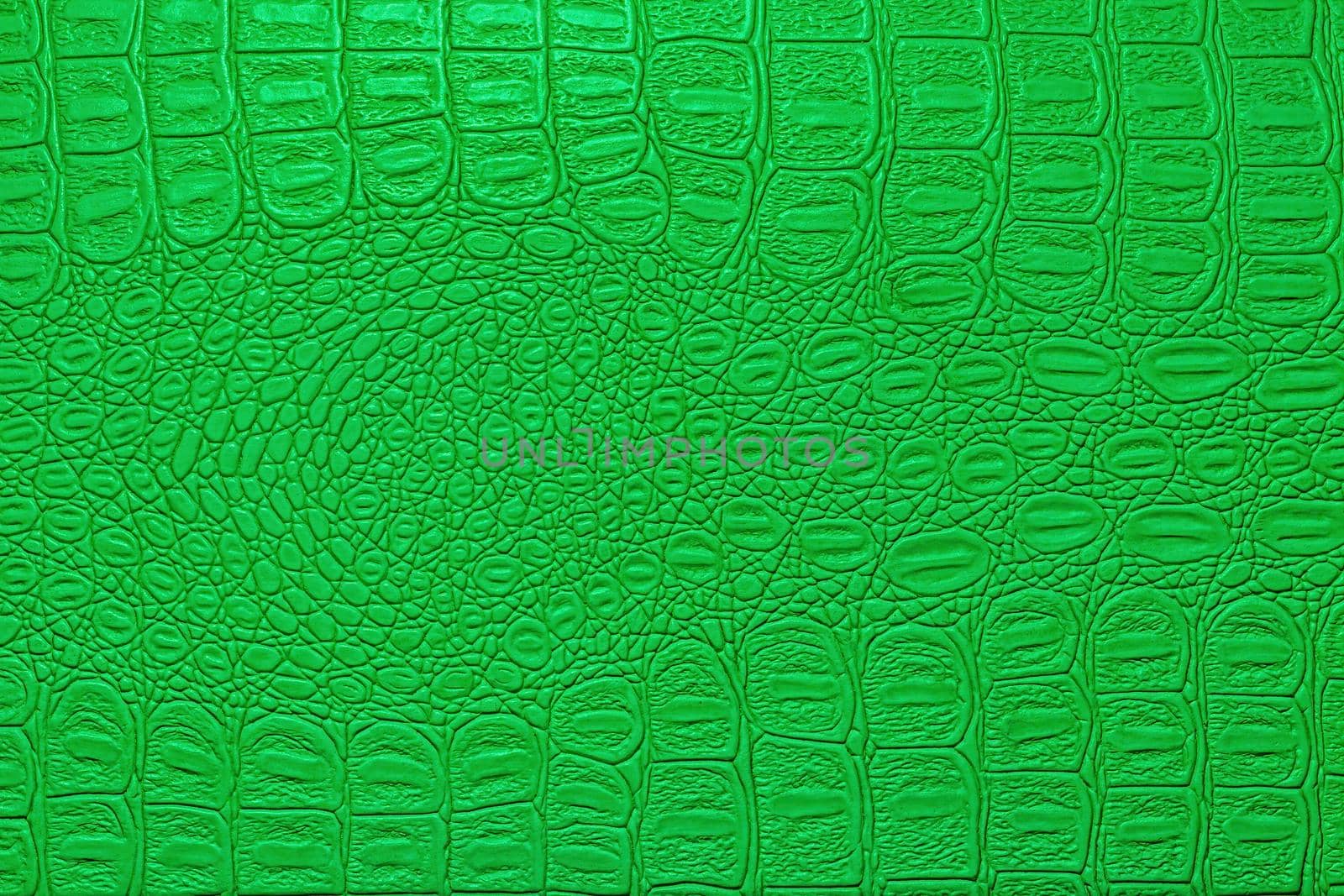 Green crocodile leather texture. Abstract backdrop for design. by Eugene_Yemelyanov