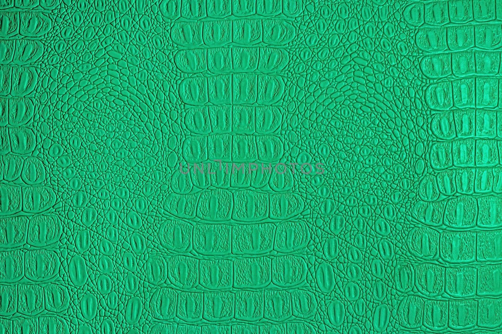 Green crocodile leather texture. Abstract background for design.