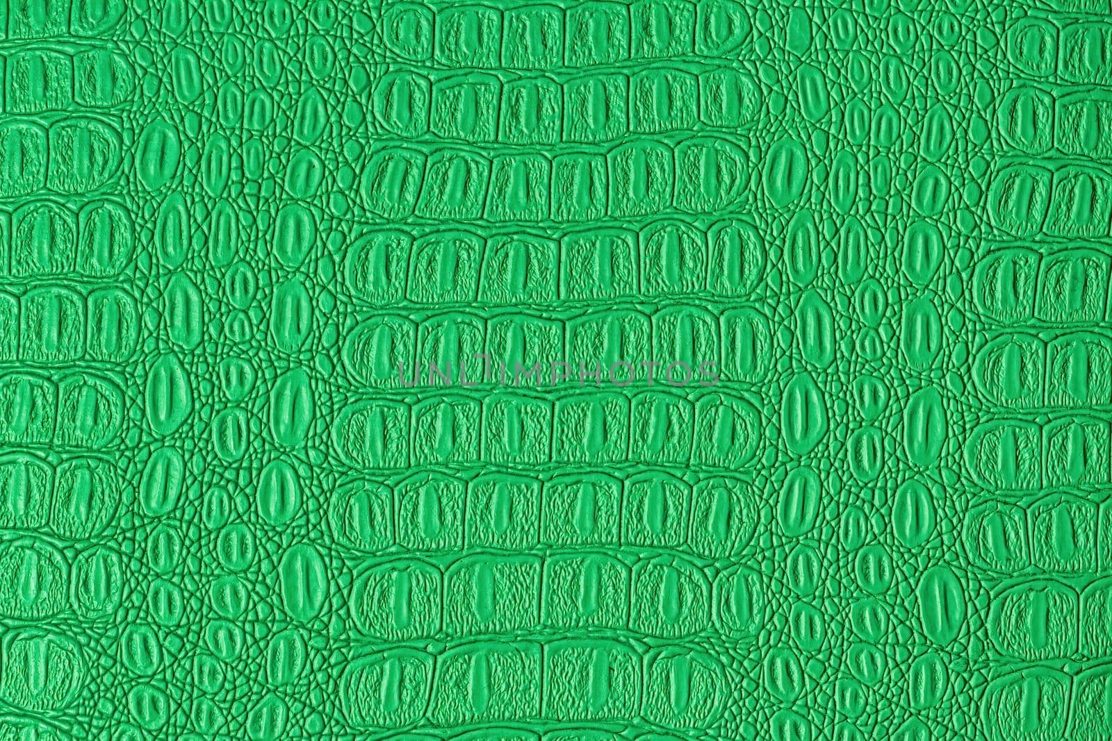 Green crocodile leather texture. Abstract background for design.