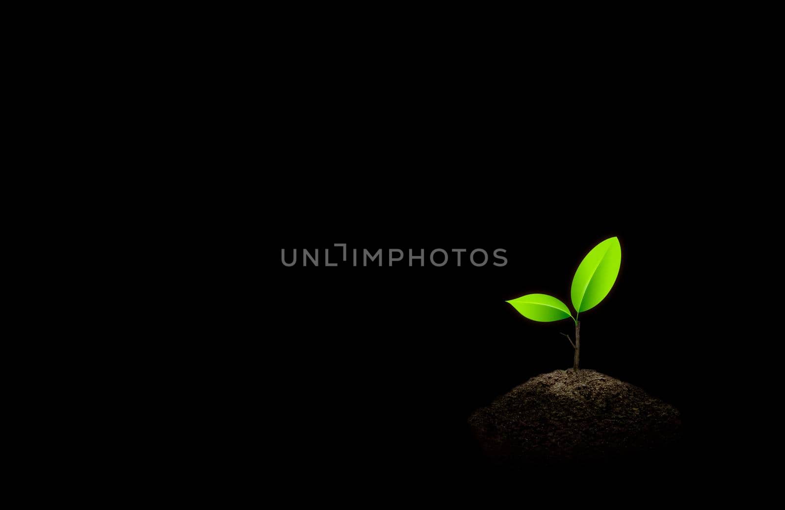 Little green seedlings growing in soil on black background. by thanumporn
