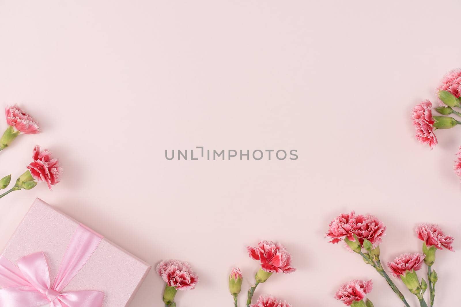 Mother's day background concept. Top view design of holiday greeting gift with carnation bouquet on bright pink table background