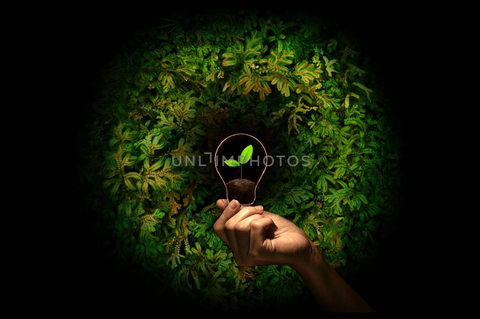 Hand holding a bulb with fresh green leaves inside on nature background.Ecological and energy concept. by thanumporn