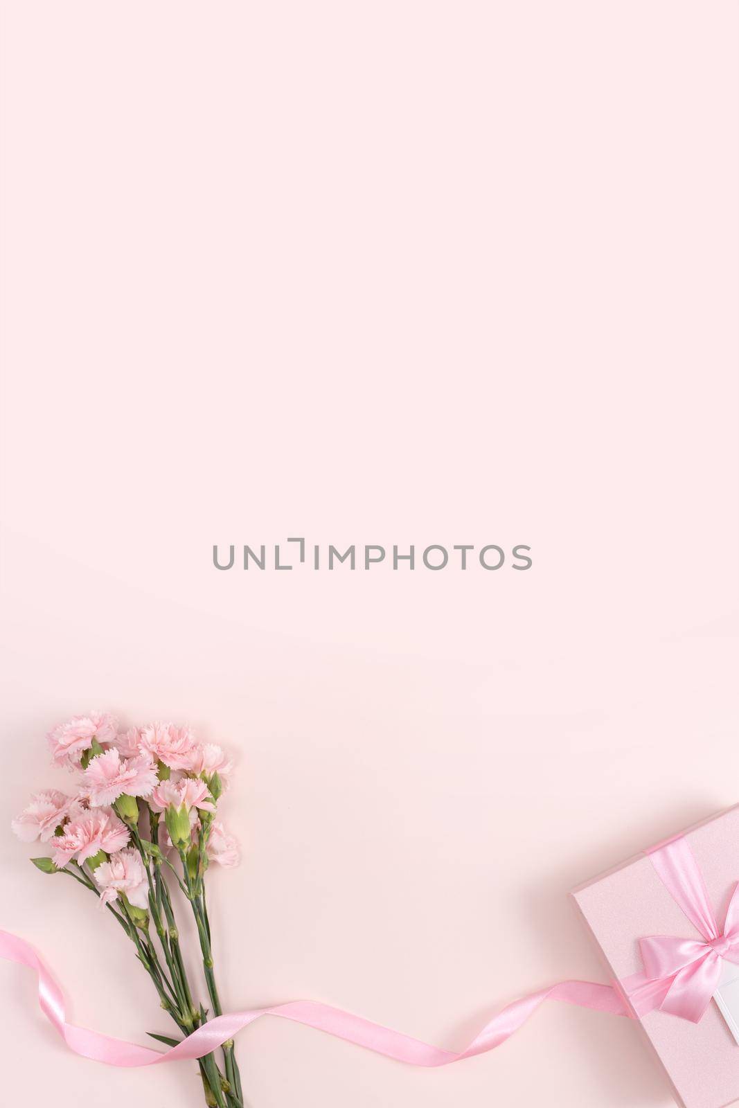 Mother's day background concept. Top view design of holiday greeting gift with carnation bouquet on bright pink table background