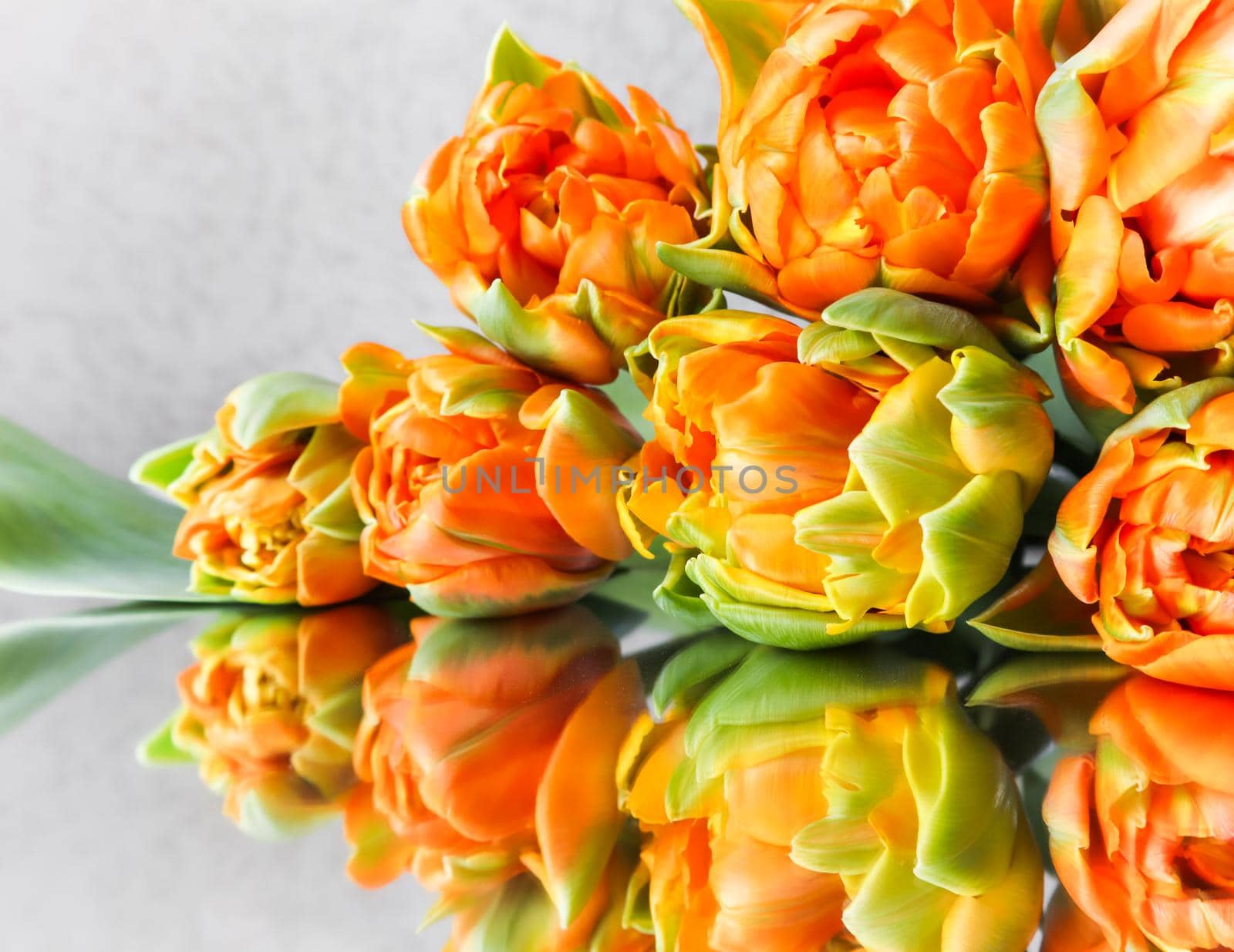 Beautiful orange tulips on the mirror. Perfect for background greeting card