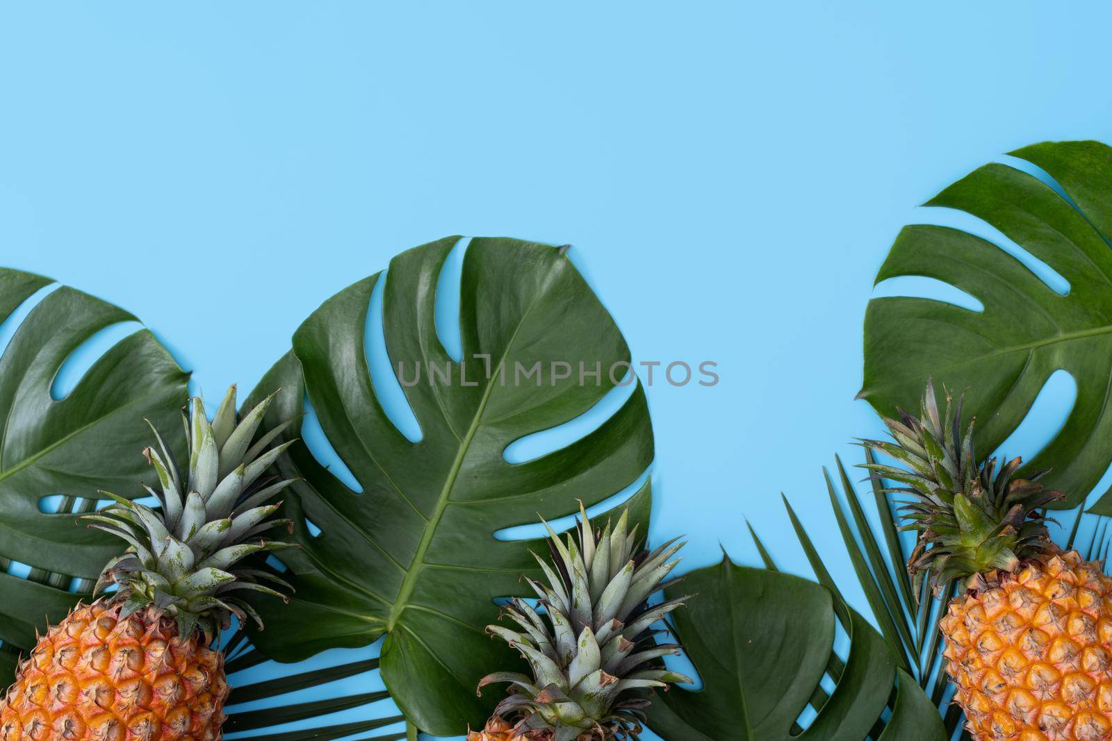 Top view of fresh pineapple with tropical leaves on blue background. by ROMIXIMAGE