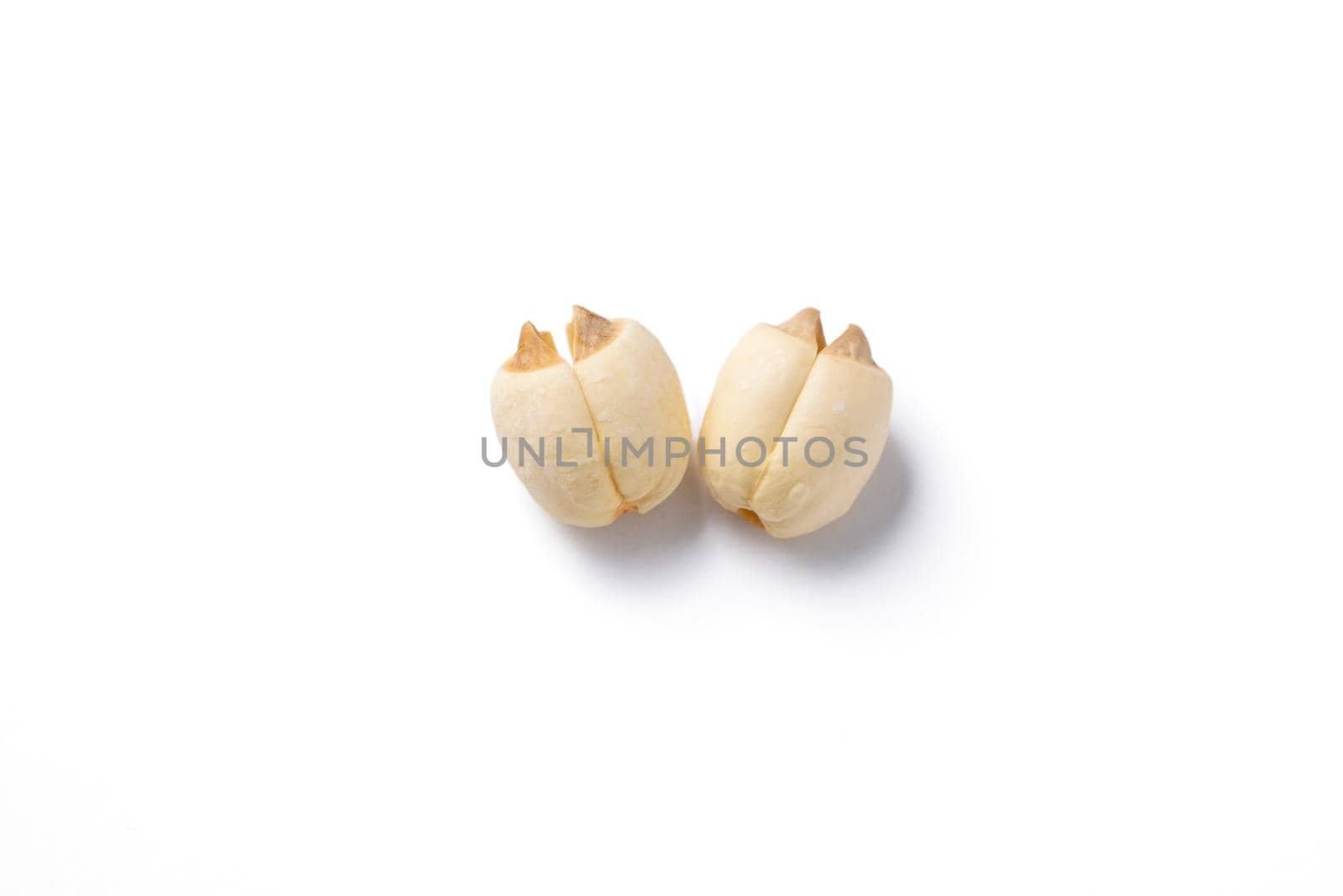 Close up of dried lotus seed Chinese herbal healthy food isolated on white table background