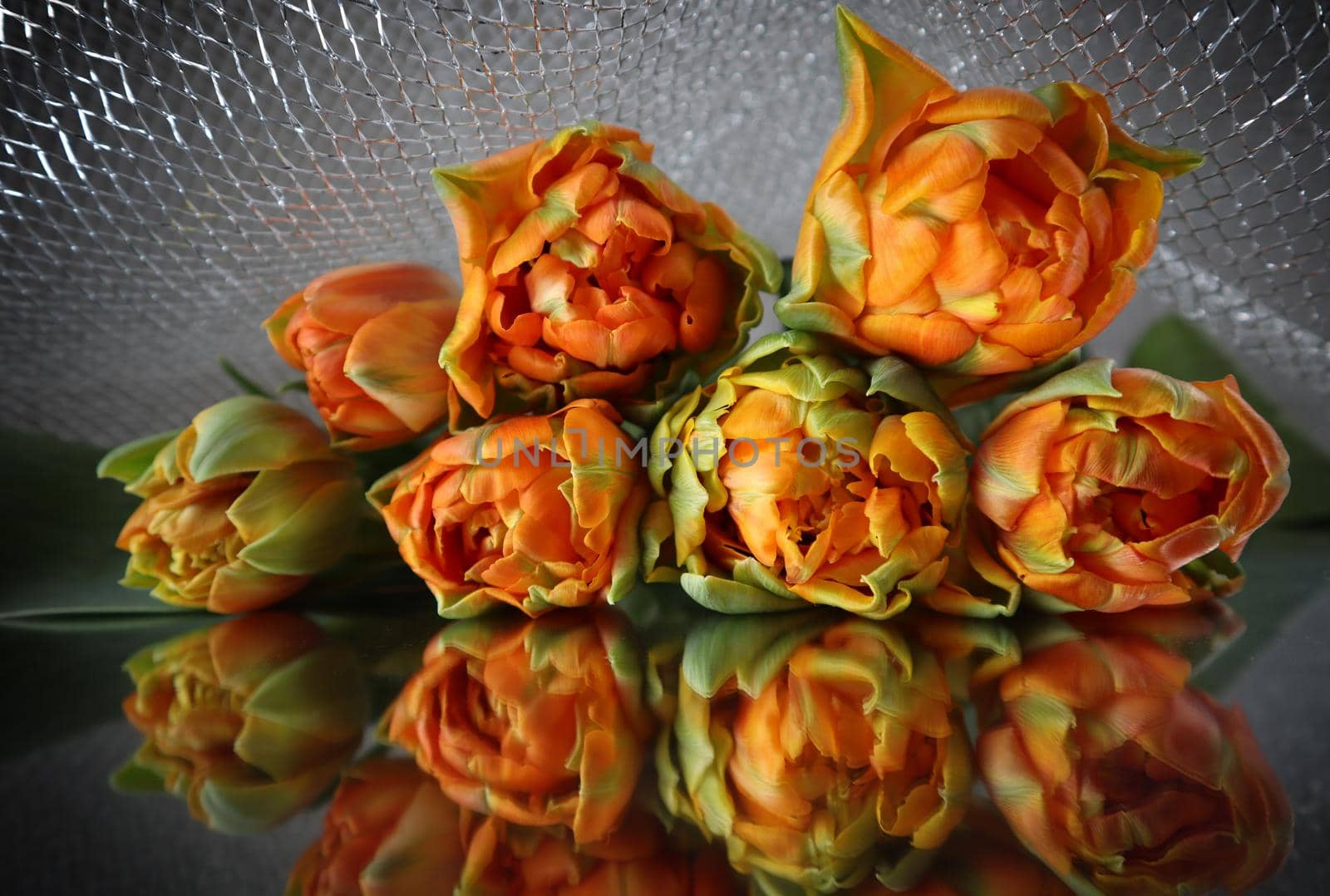 Beautiful orange tulips on the mirror. Perfect for background greeting card