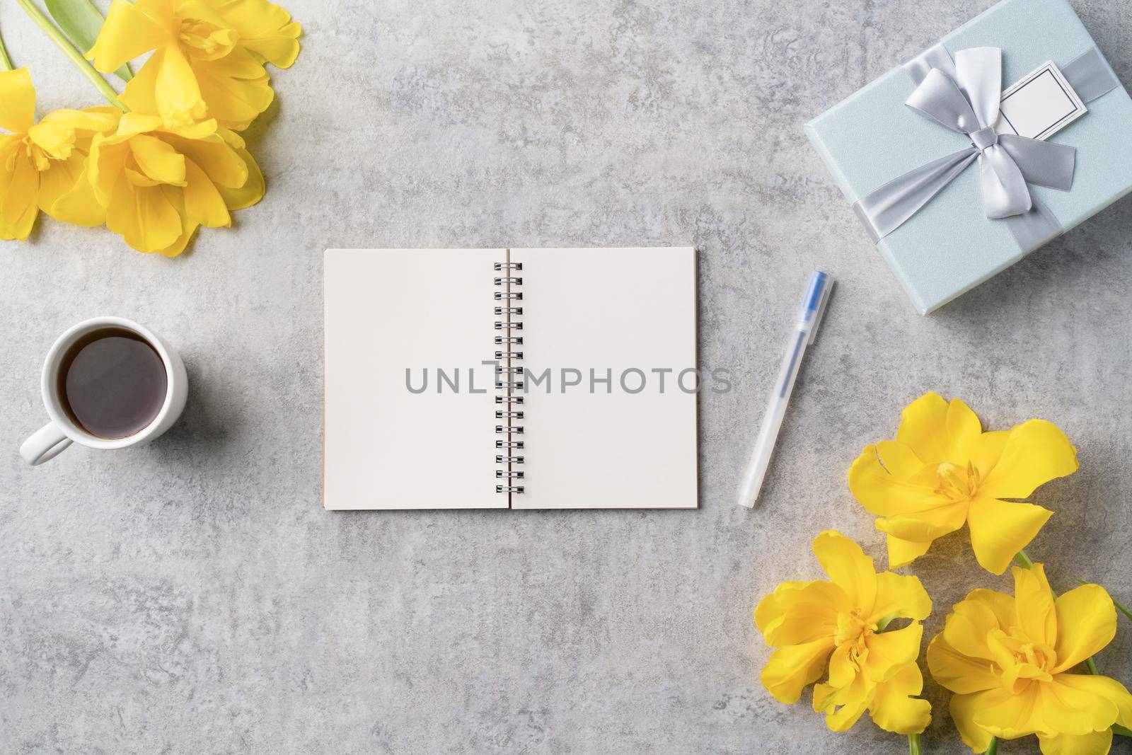 Concept of Mother's day holiday gift idea greeting design with yellow tulip flower bouquet on gray background
