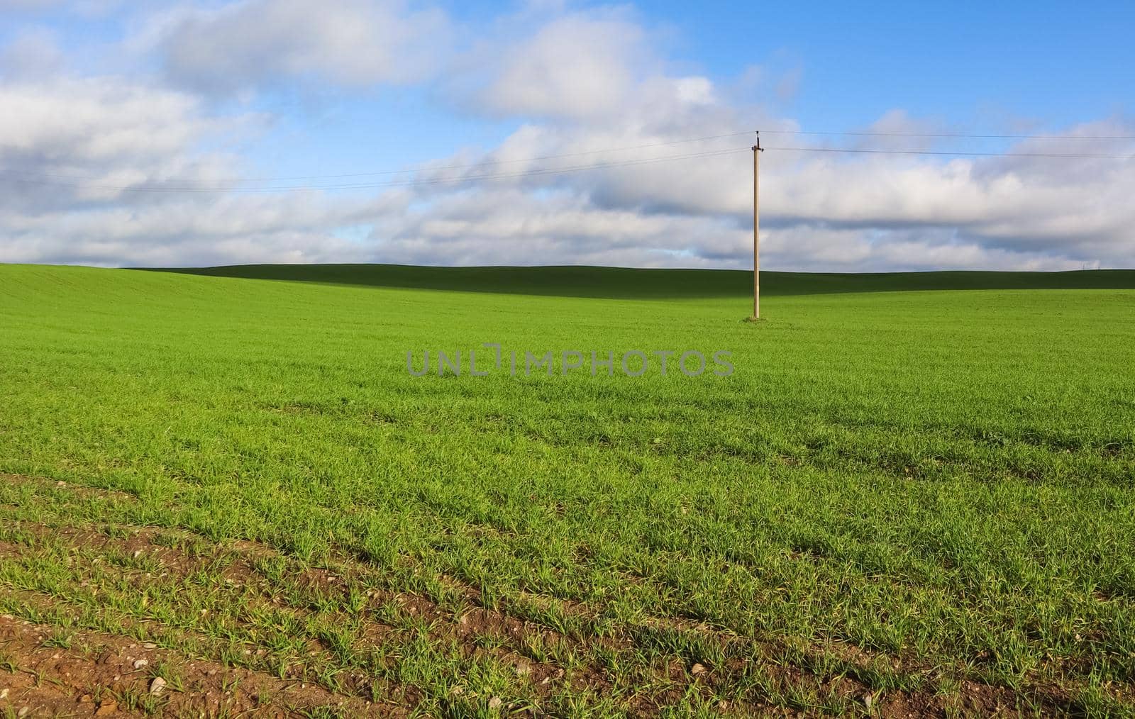 Green grass field on hills and blue sky with clouds in the countryside. Natural landscape