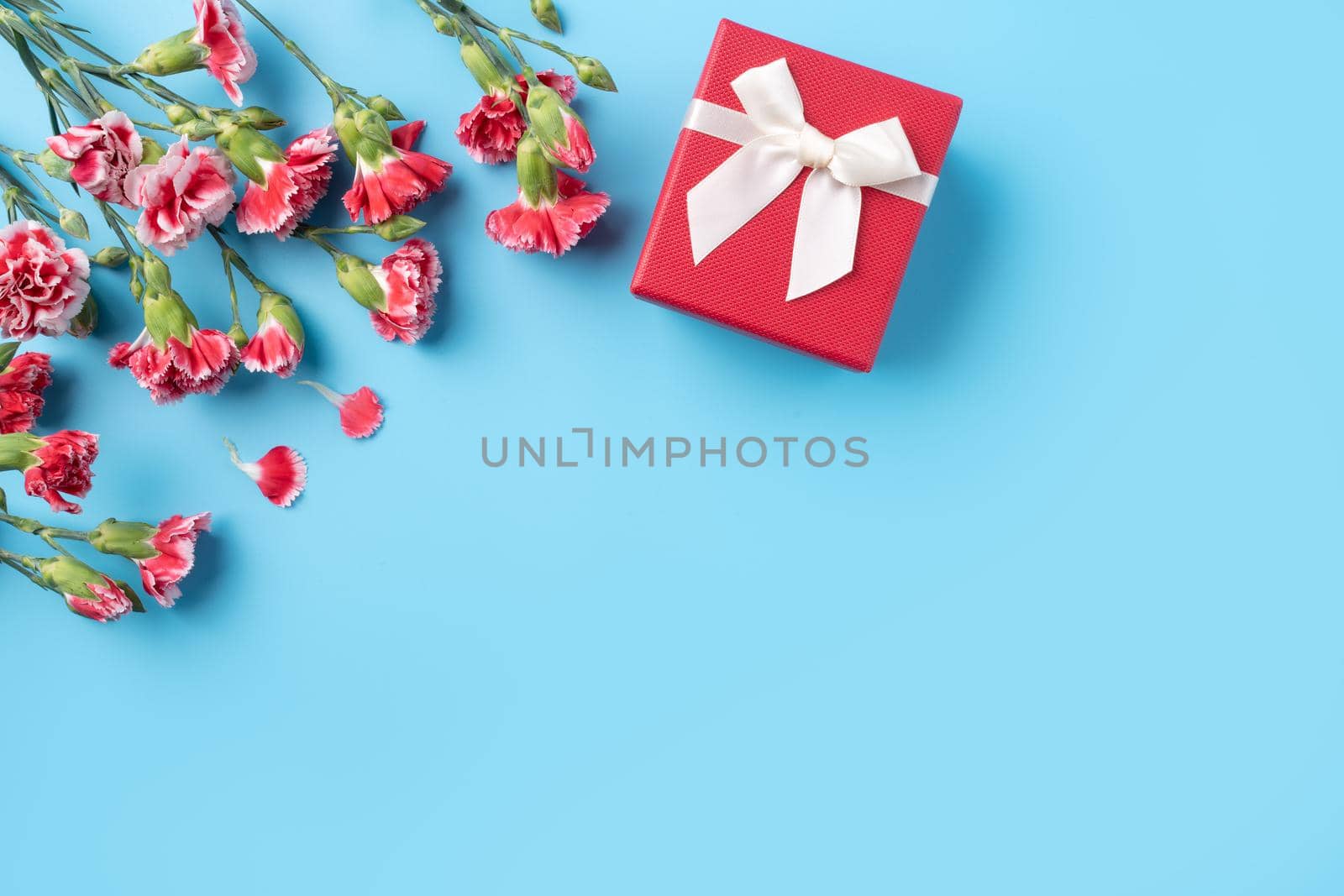 Concept of Mother's day holiday greeting gift design with carnation bouquet on bright blue table background