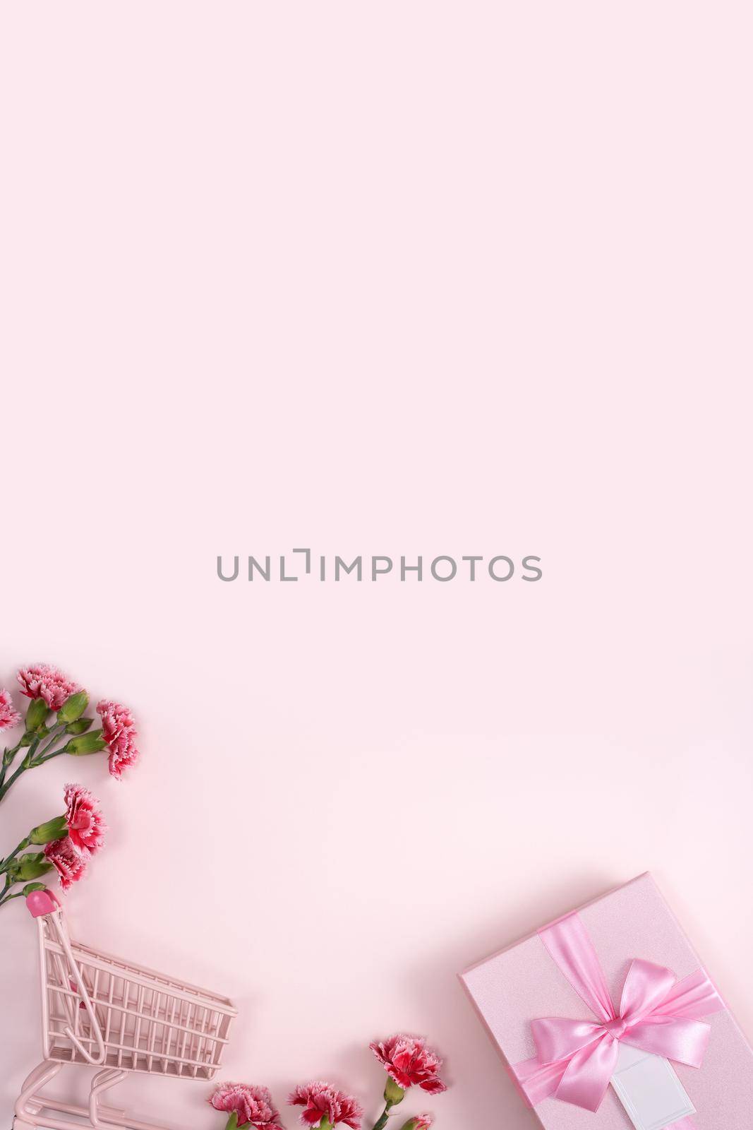 Concept of Mother's day holiday greeting design with carnation bouquet and gift on pink background