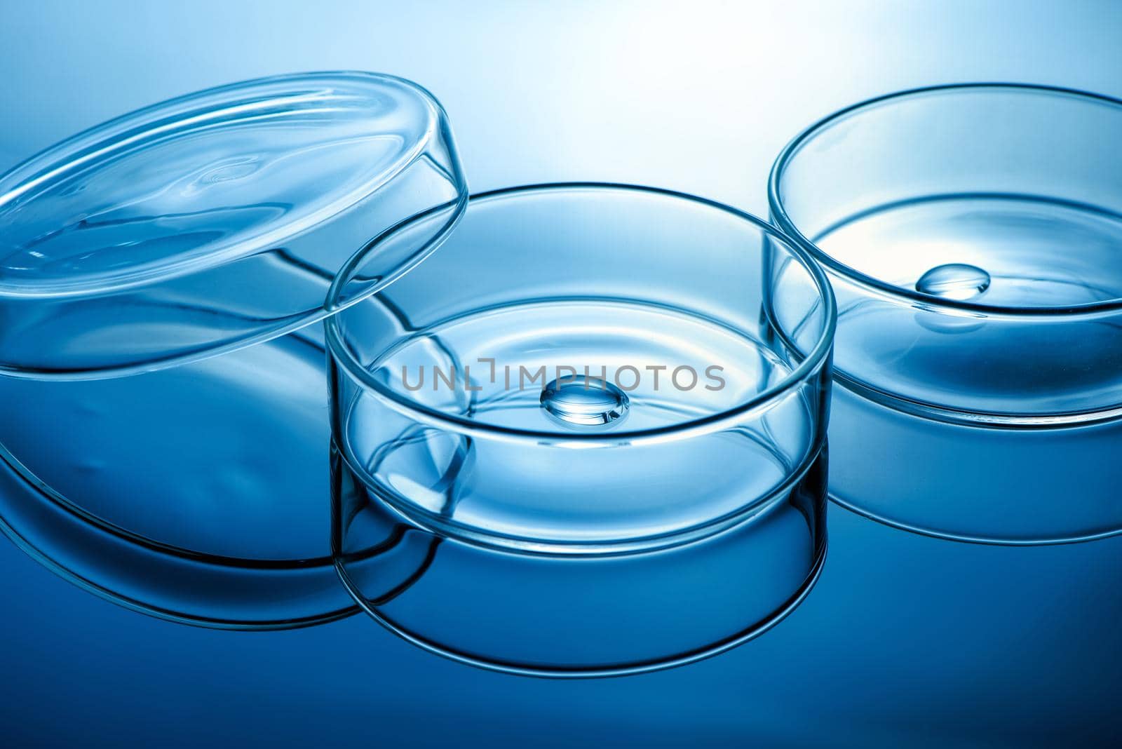Clean glass petri dish with liquid drop inside over blue light background, concept of science lab test and vaccine development.
