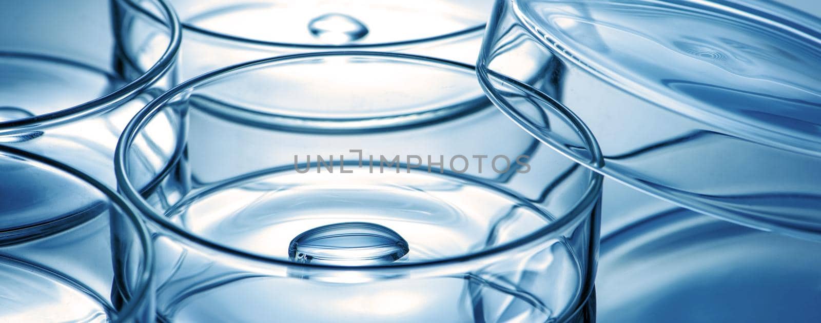 Clean glass petri dish with liquid drop inside over blue light background, concept of science lab test and vaccine development.