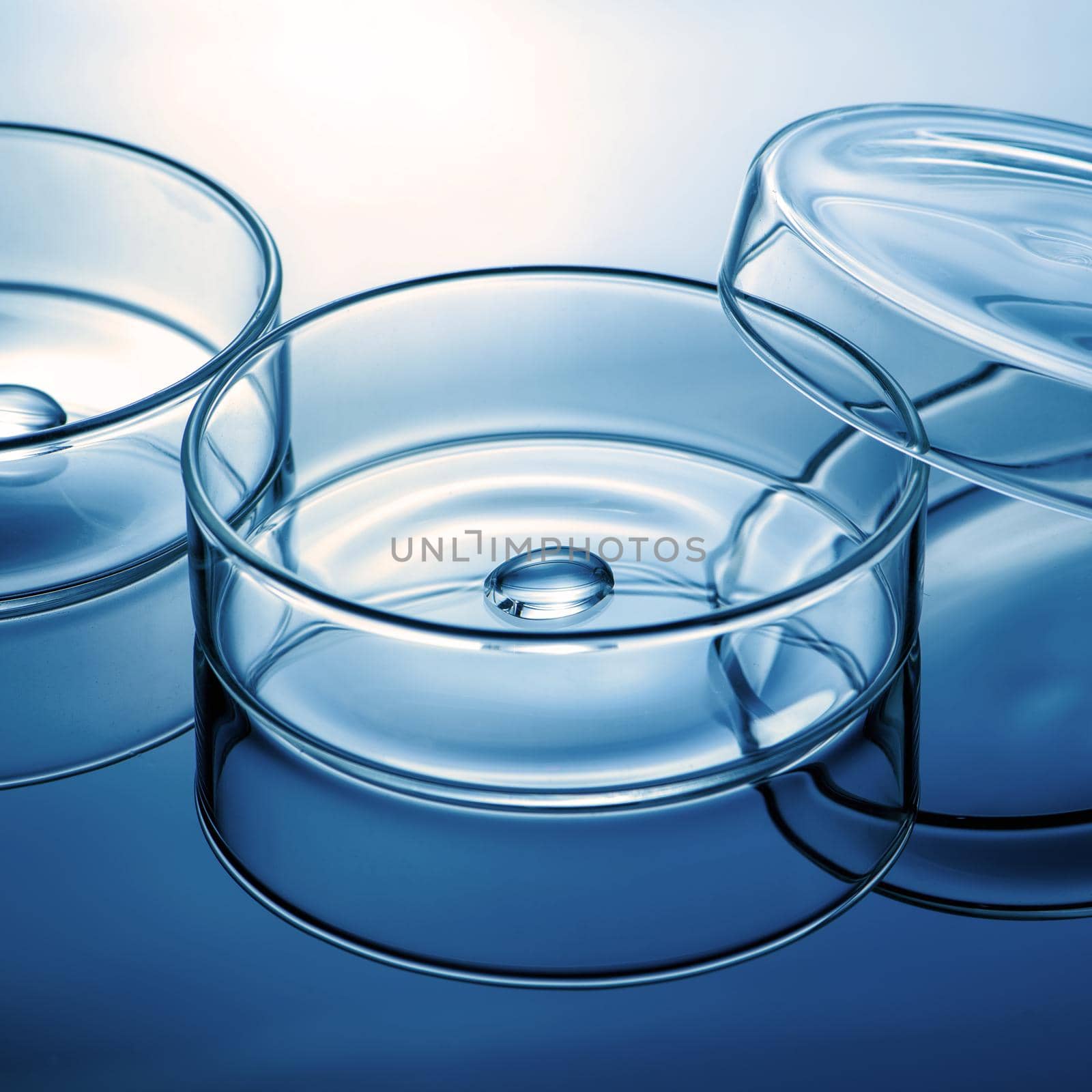 Clean glass petri dish with liquid drop inside over blue light background, concept of science lab test and vaccine development.