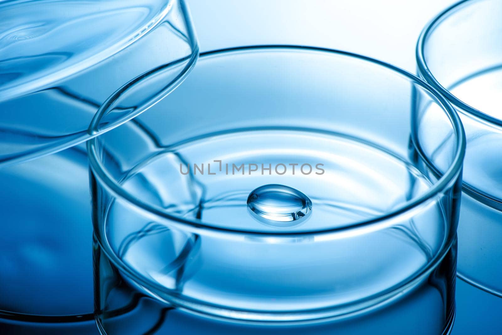 Clean glass petri dish with liquid drop inside over blue light background, concept of science lab test and vaccine development.