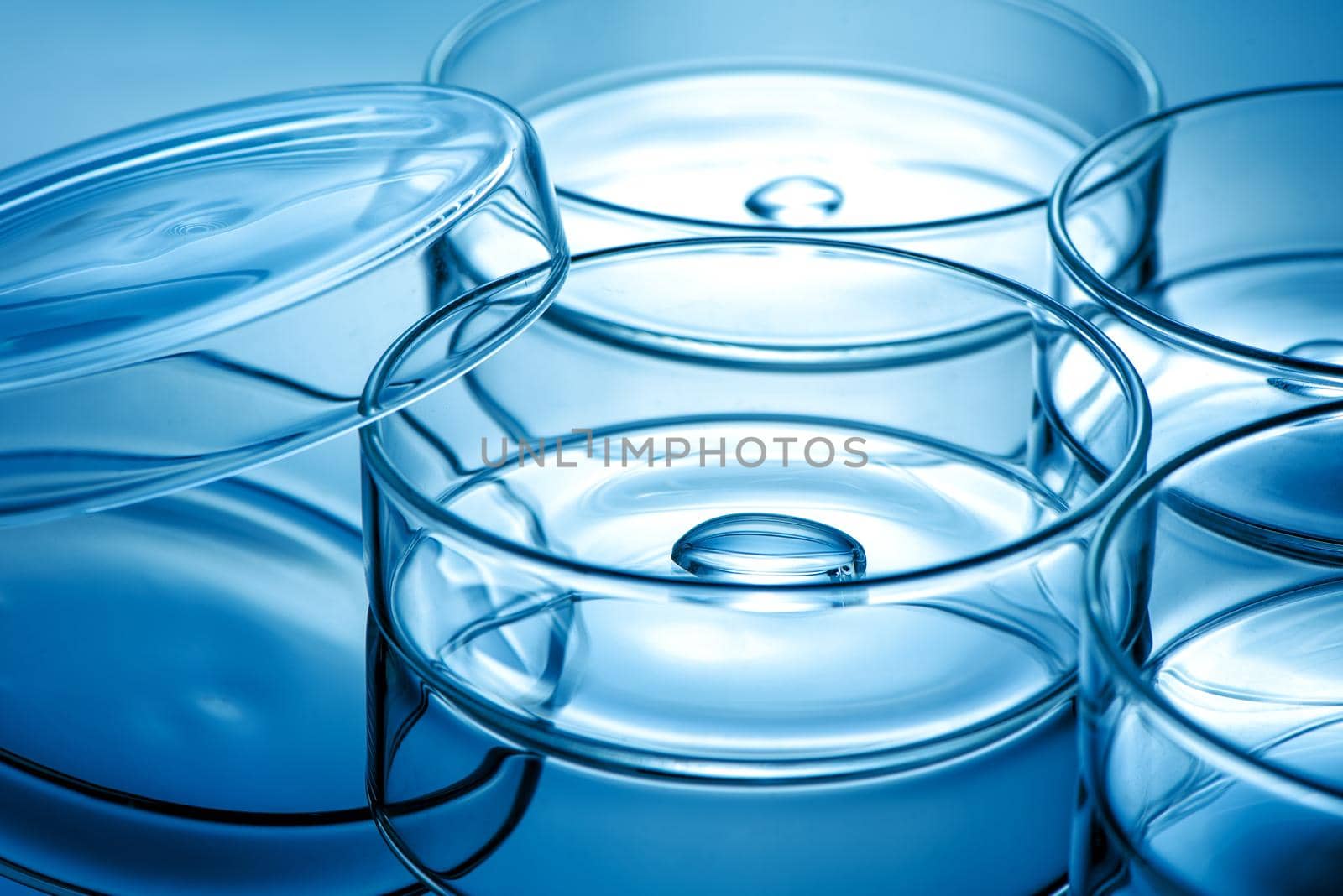 Clean glass petri dish with liquid drop inside over blue light background, concept of science lab test and vaccine development.
