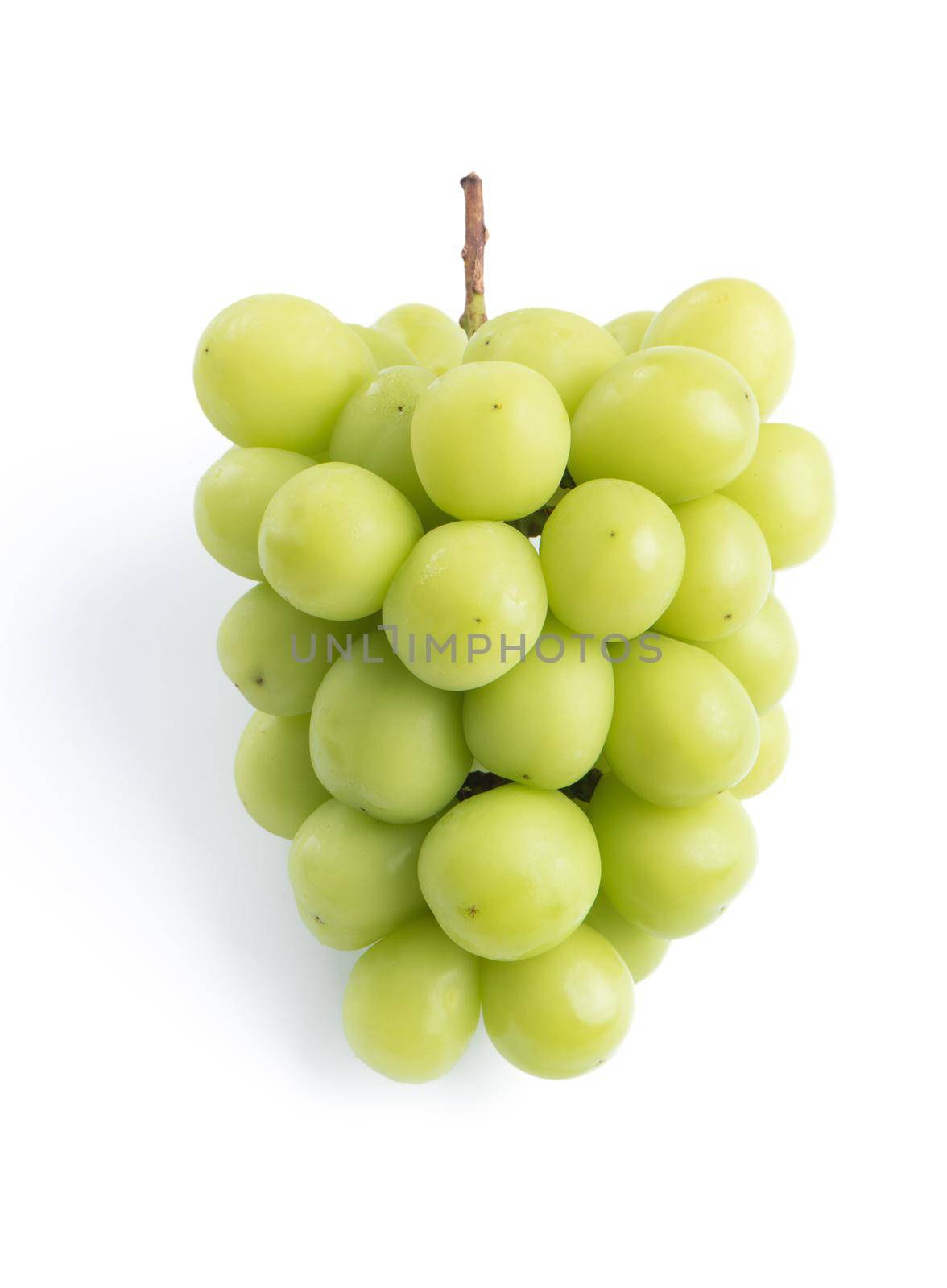 Close up of beautiful a bunch of Shine Muscat green grape isolated on white background, clipping path cut out.