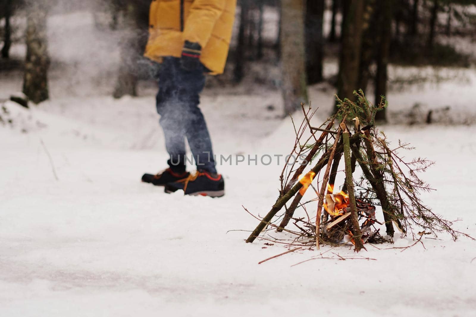 Tourists at a halt. Preparation for making a fire from spruce branches. Winter forest