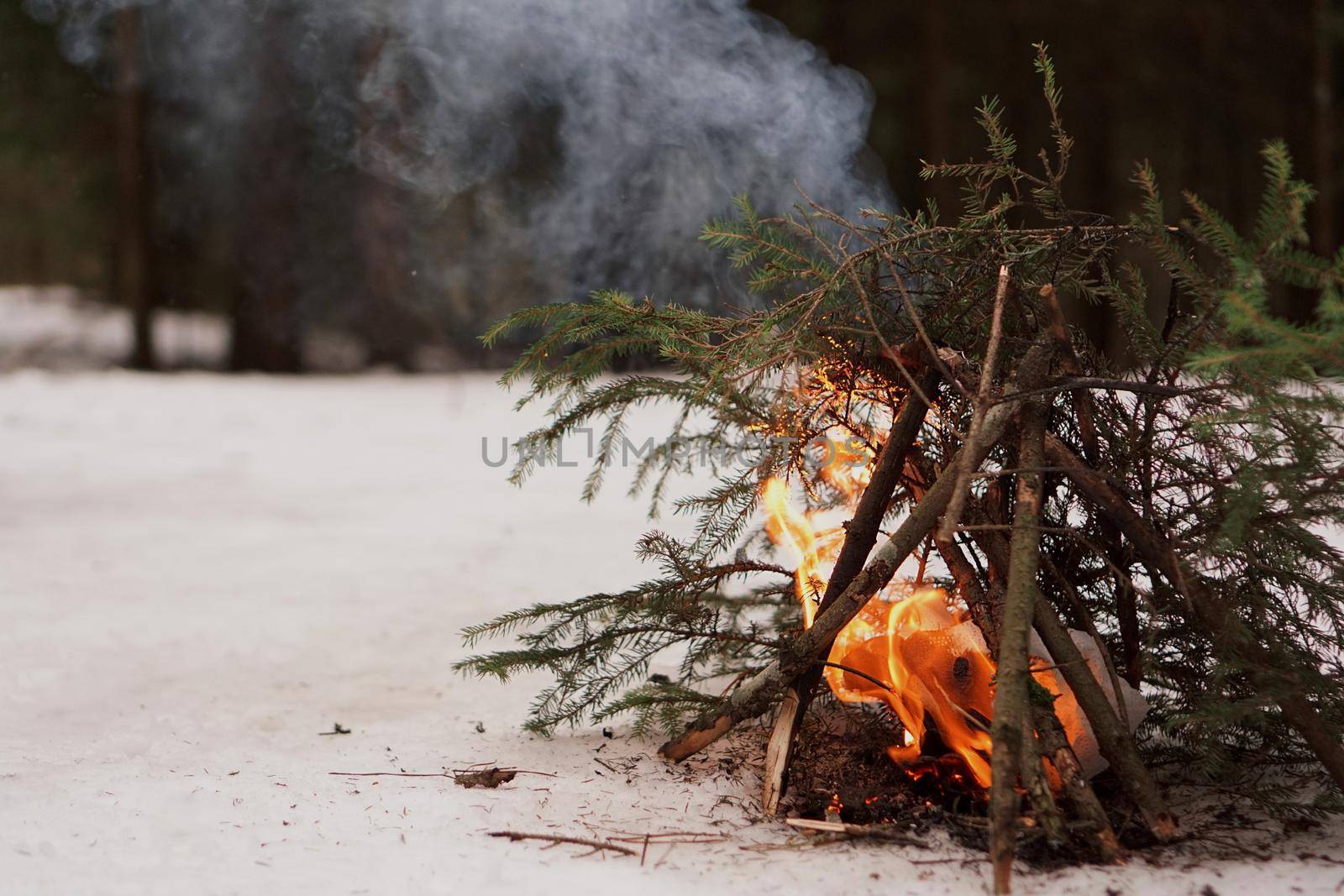 Bonfire of fir branches in the winter forest by natali_brill