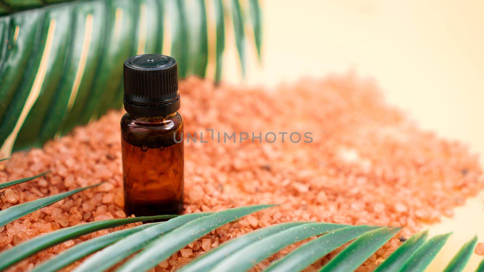 Cosmetic bottle with oil on a background of sea salt and tropical leaves. The concept of beauty, spa, aromatherapy, medicine.