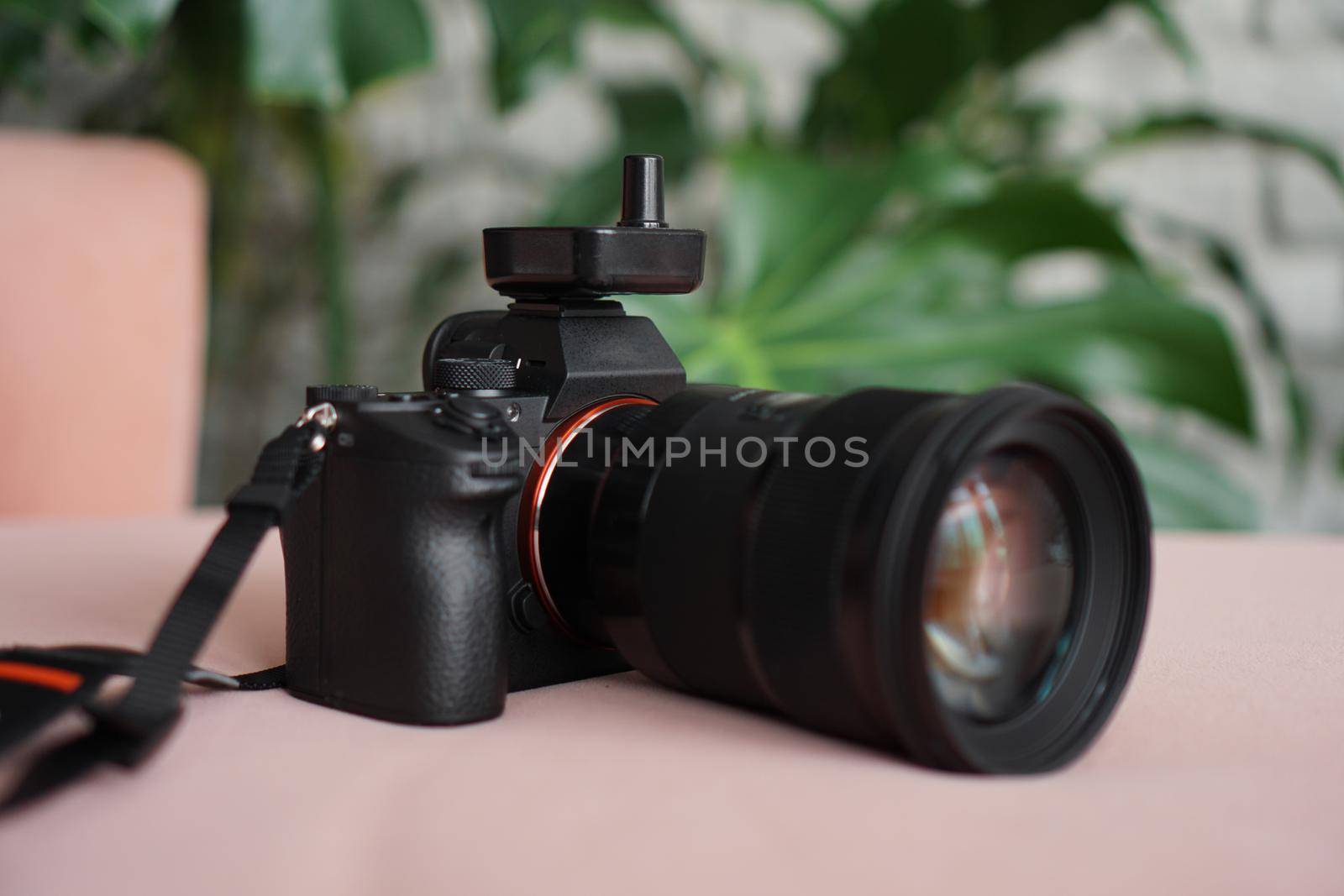 Black camera with a lens on a pink background and a blurred background of green leaves. No visible logos and brands