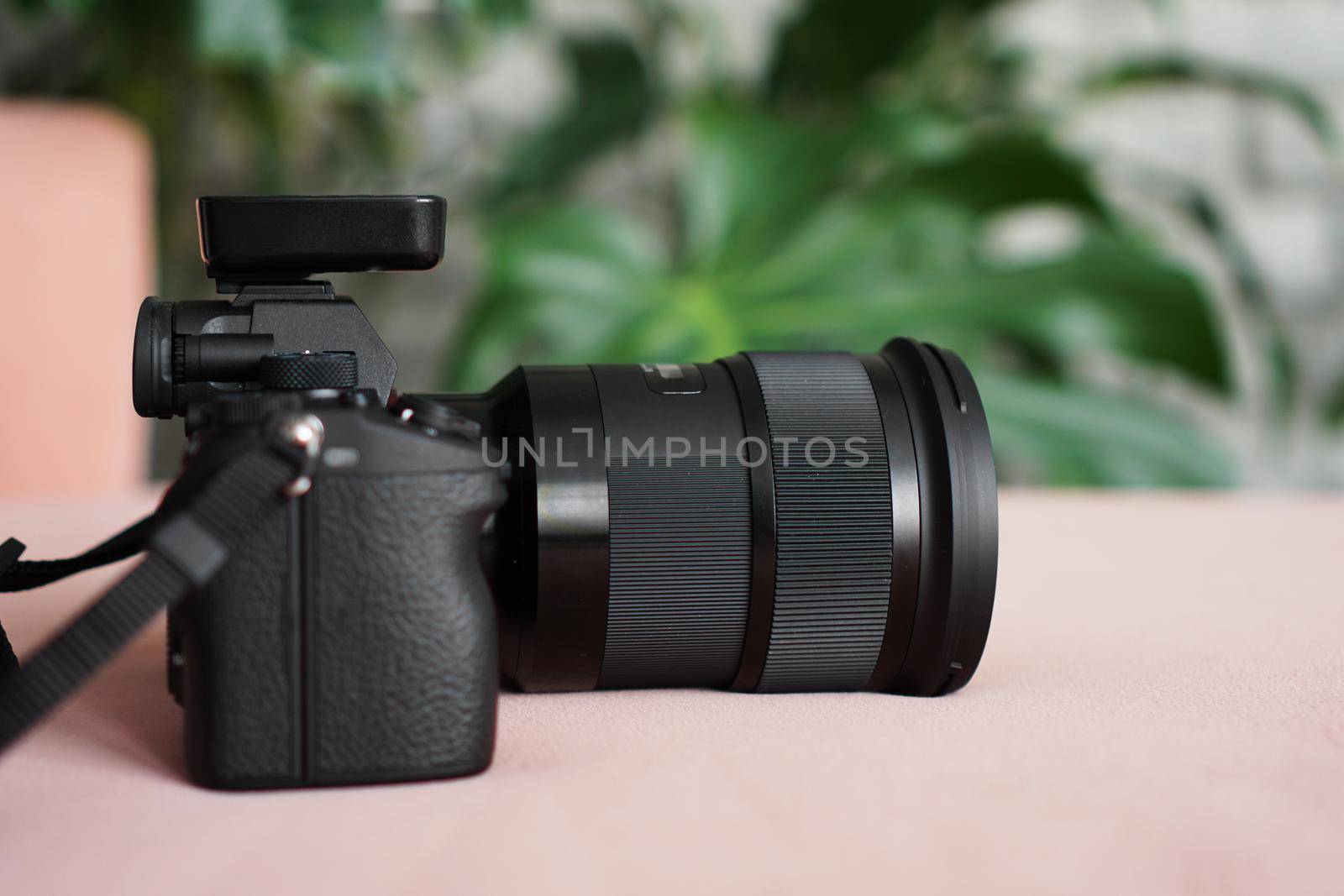 Black camera with a lens on a pink background and a blurred background of green leaves. No visible logos and brands