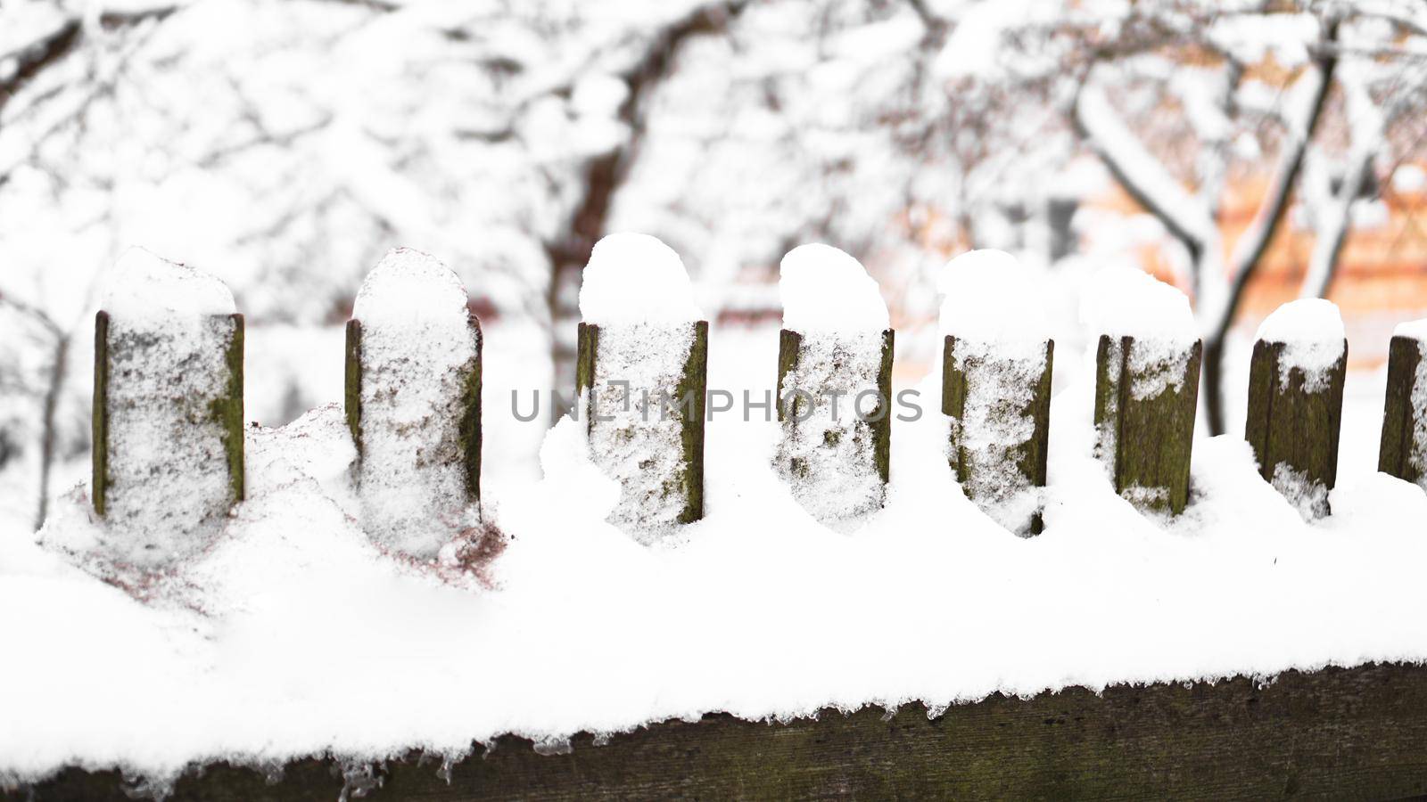 Wooden fence gate covered in white snow at heavy snowing snowstorm by natali_brill