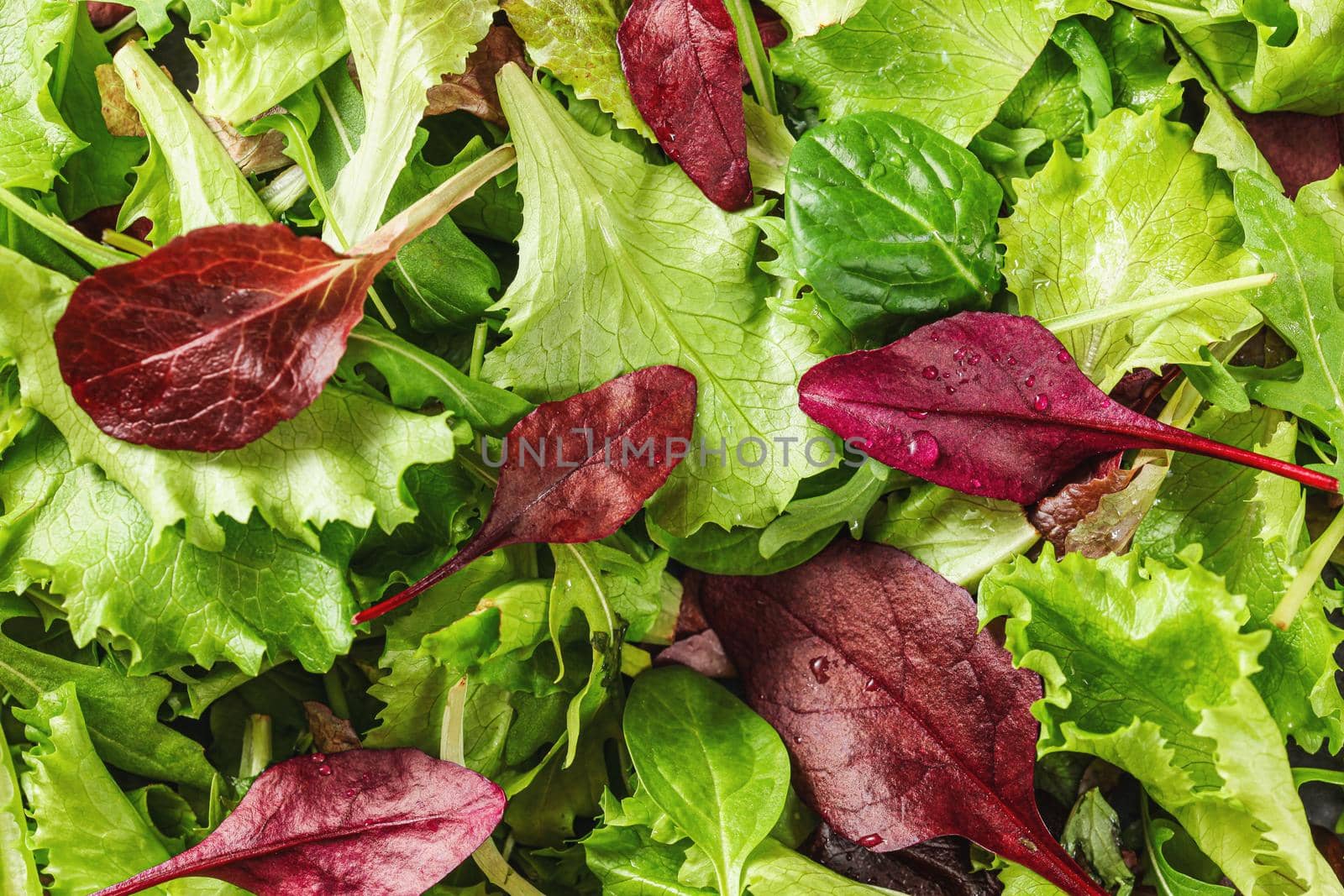 Green and red leaves salad, closeup detail from above by Ivanko