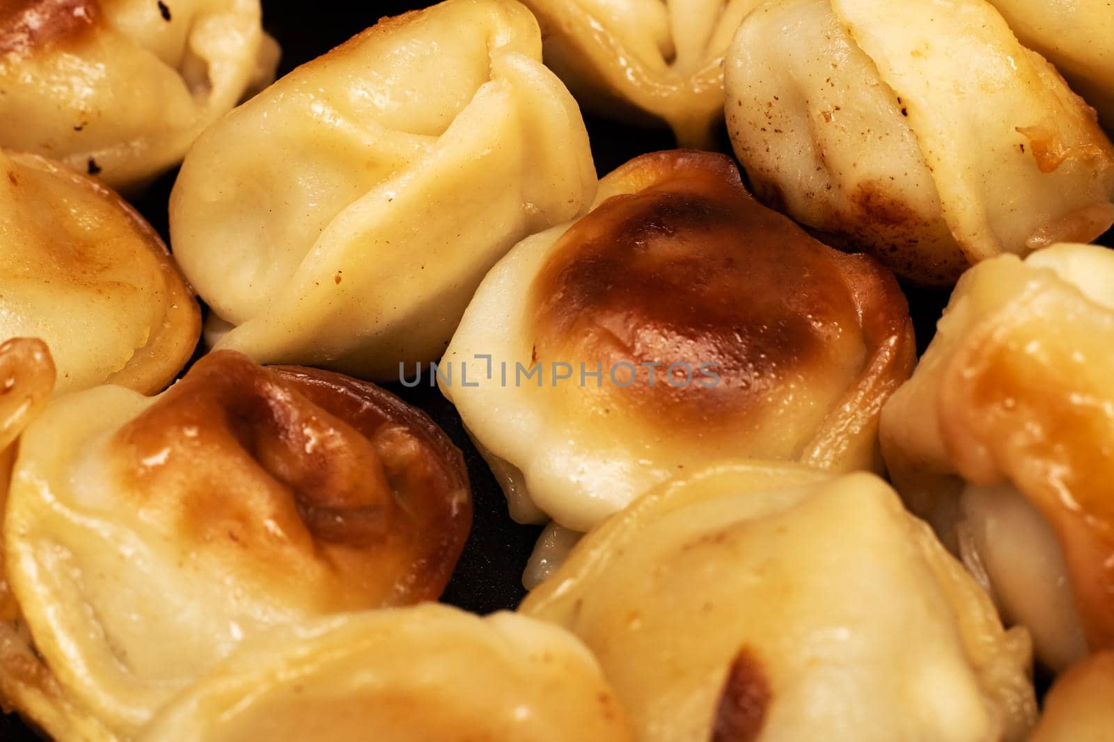 Fried dumplings in the pan close up, texture or background for text