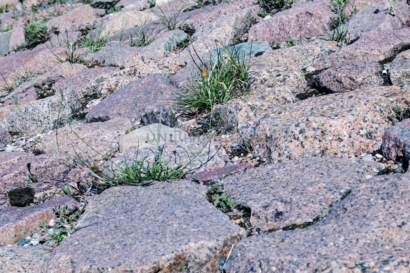 Large stones and moss between them, background and texture
