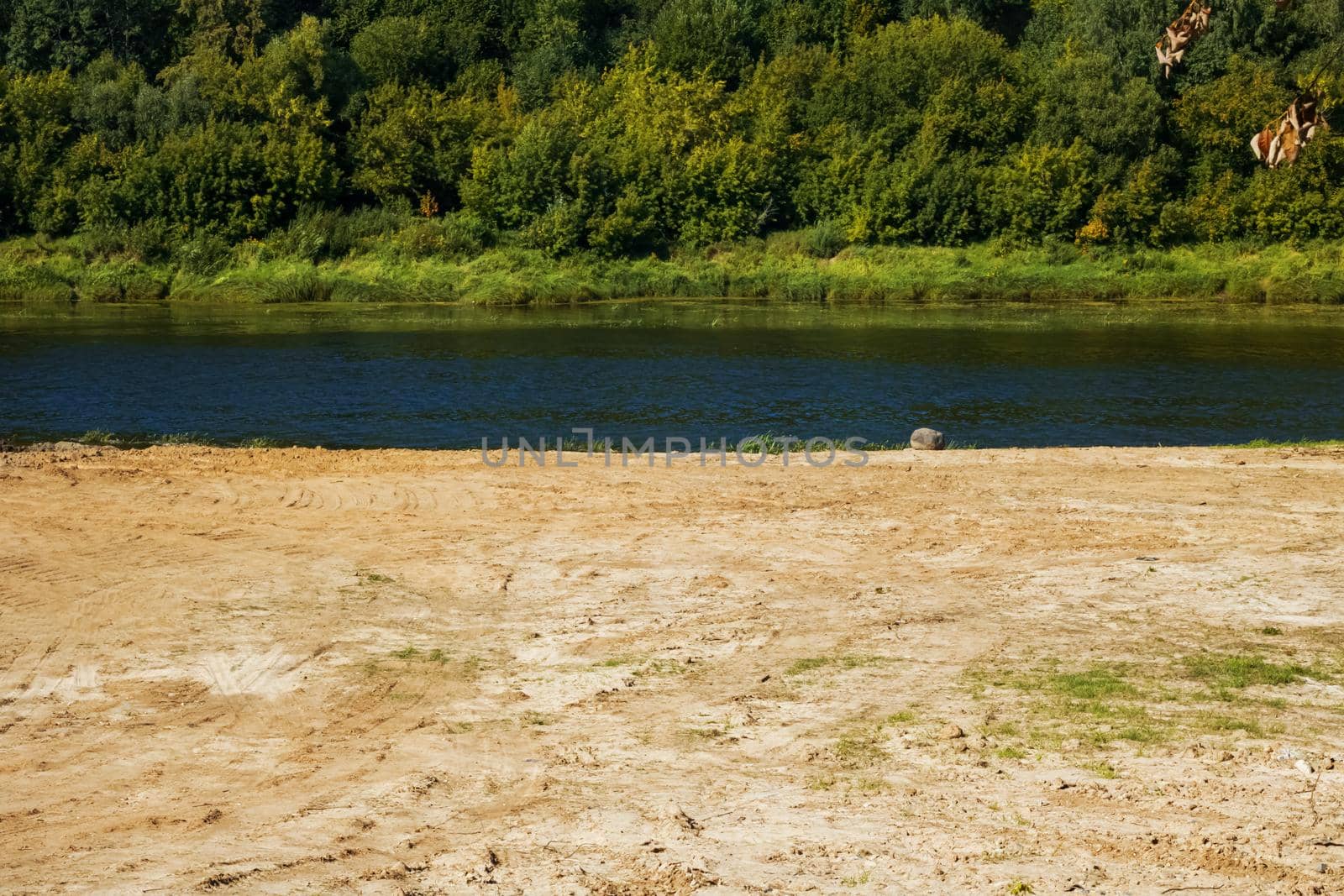 Sandy beach by the river and forest in summer