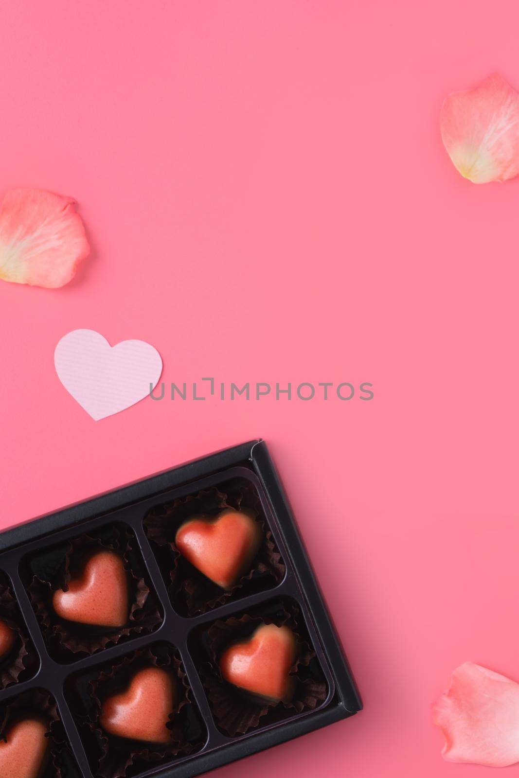 Valentine's Day design concept background with pink petals and gift box on pink background