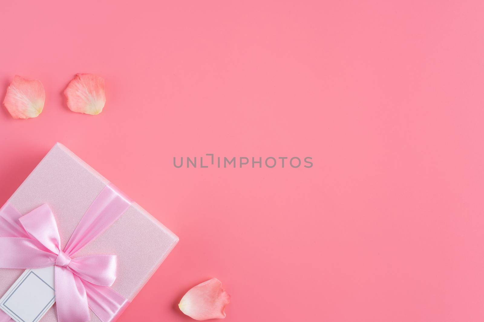 Valentine's Day design concept background with pink petals and gift box on pink background