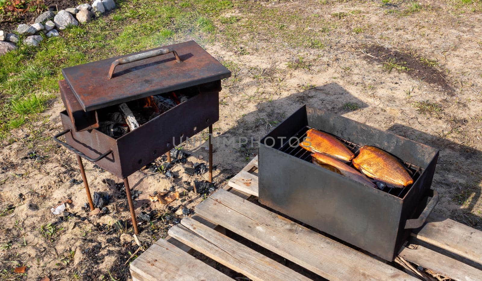 Three smoked fish in a makeshift smokehouse.
