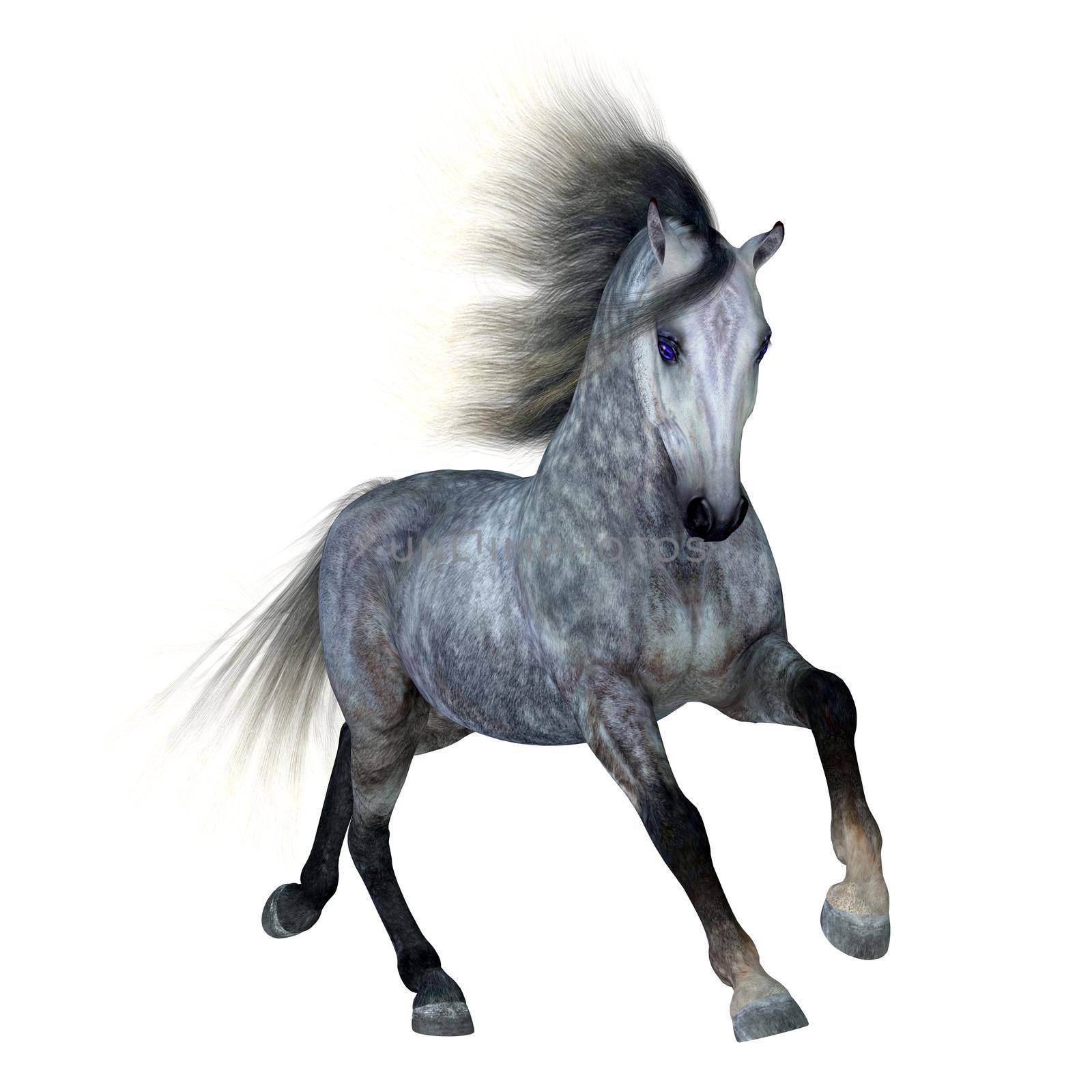 Dapple Grey Horse by Catmando