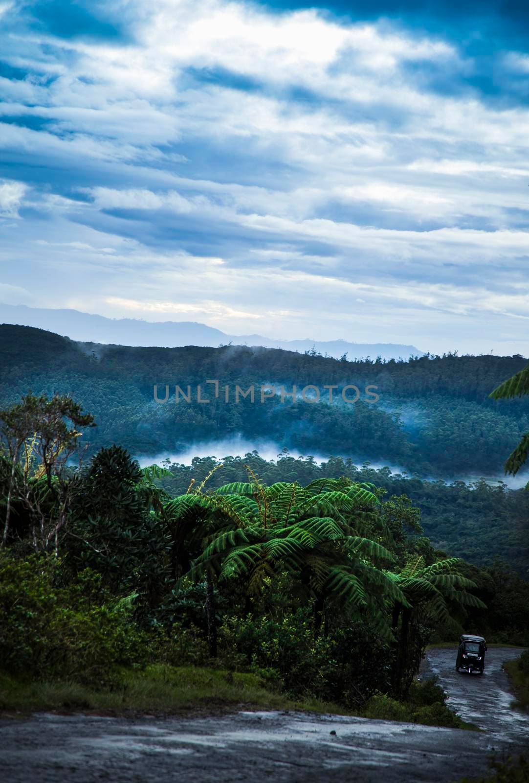 Sunrise in the jungles of Sri Lanka