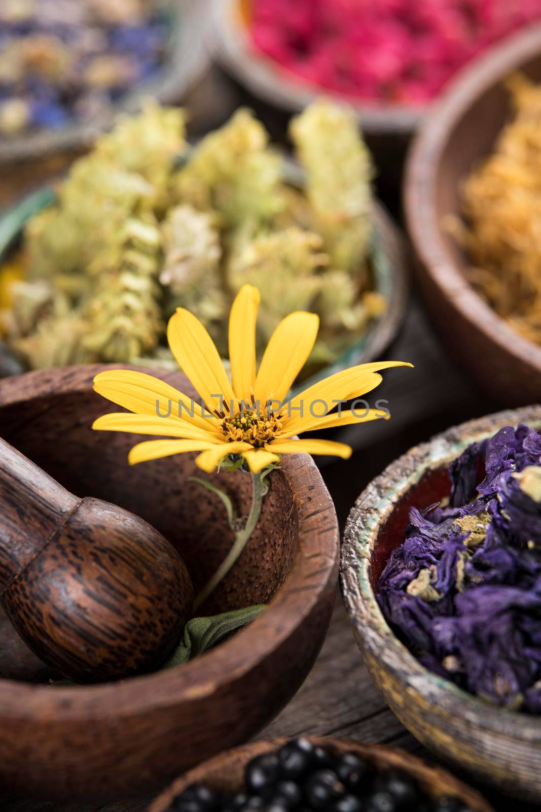 Alternative health, fresh herbal and mortar on wooden background