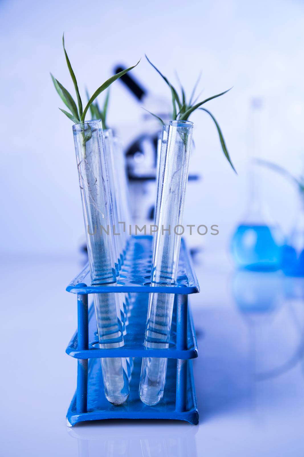 Chemical laboratory glassware, Genetically modified plant  by JanPietruszka