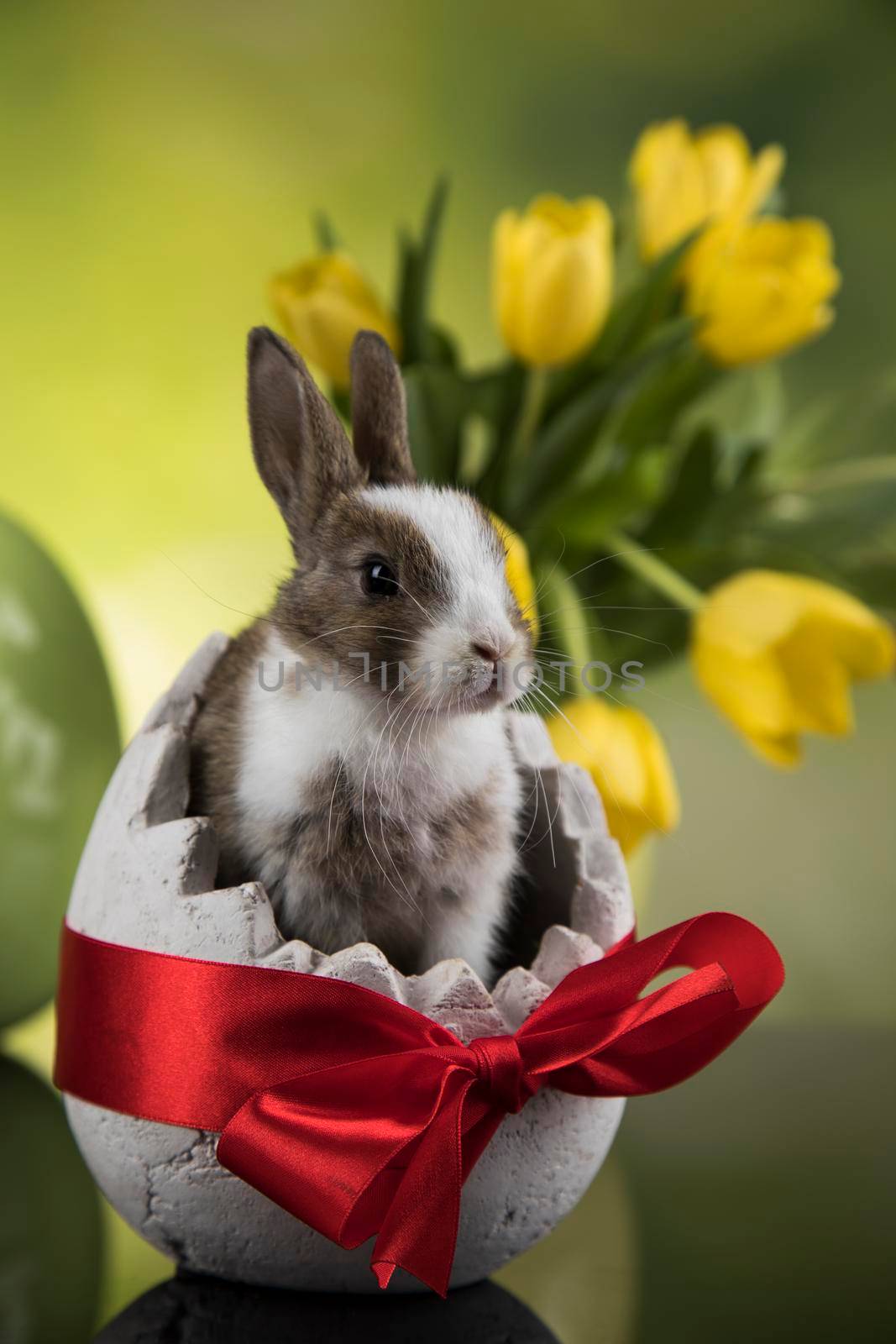Spring baby bunny, happy easter background