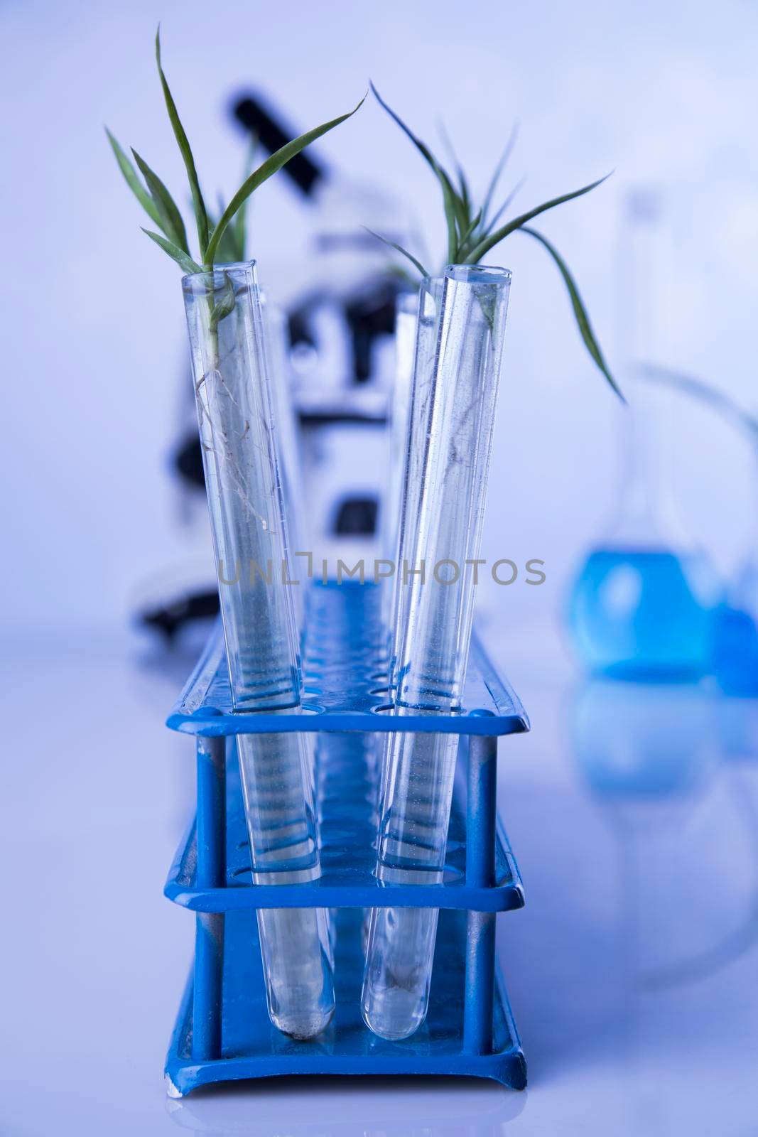 Plant in a test tube of the scientist