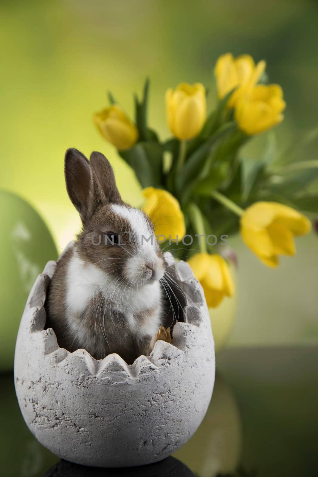 Baby bunny and egg, easter background