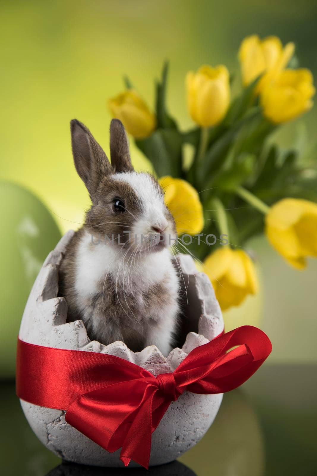 Baby bunny and egg, easter background