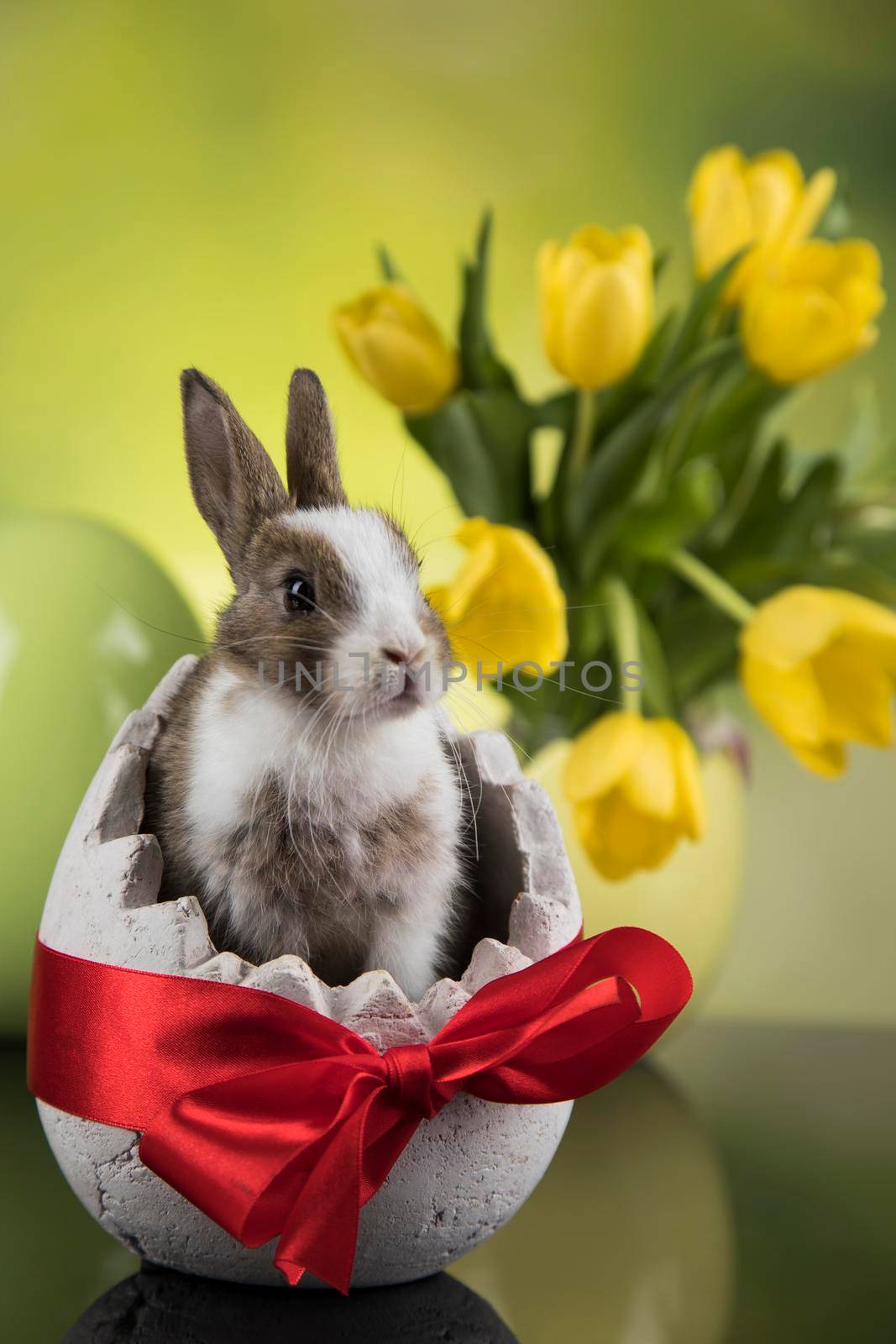 Spring baby bunny, happy easter background