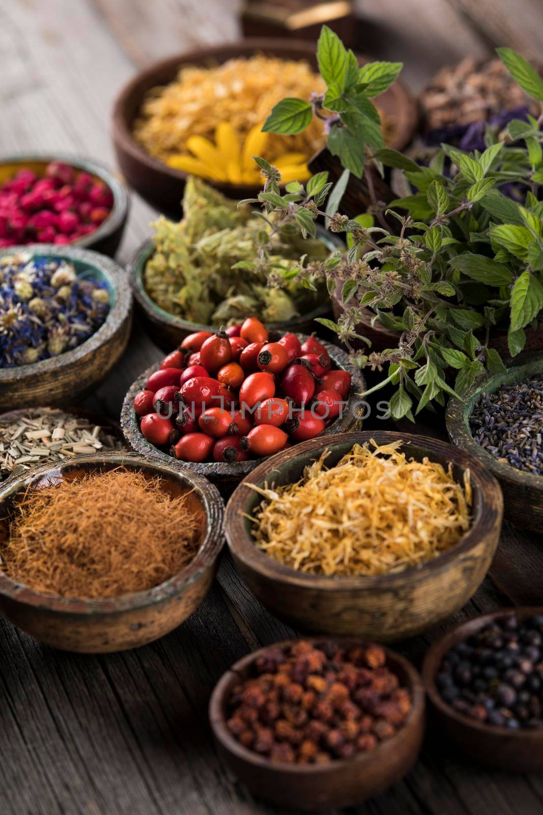 Alternative health, fresh herbal and mortar on wooden background