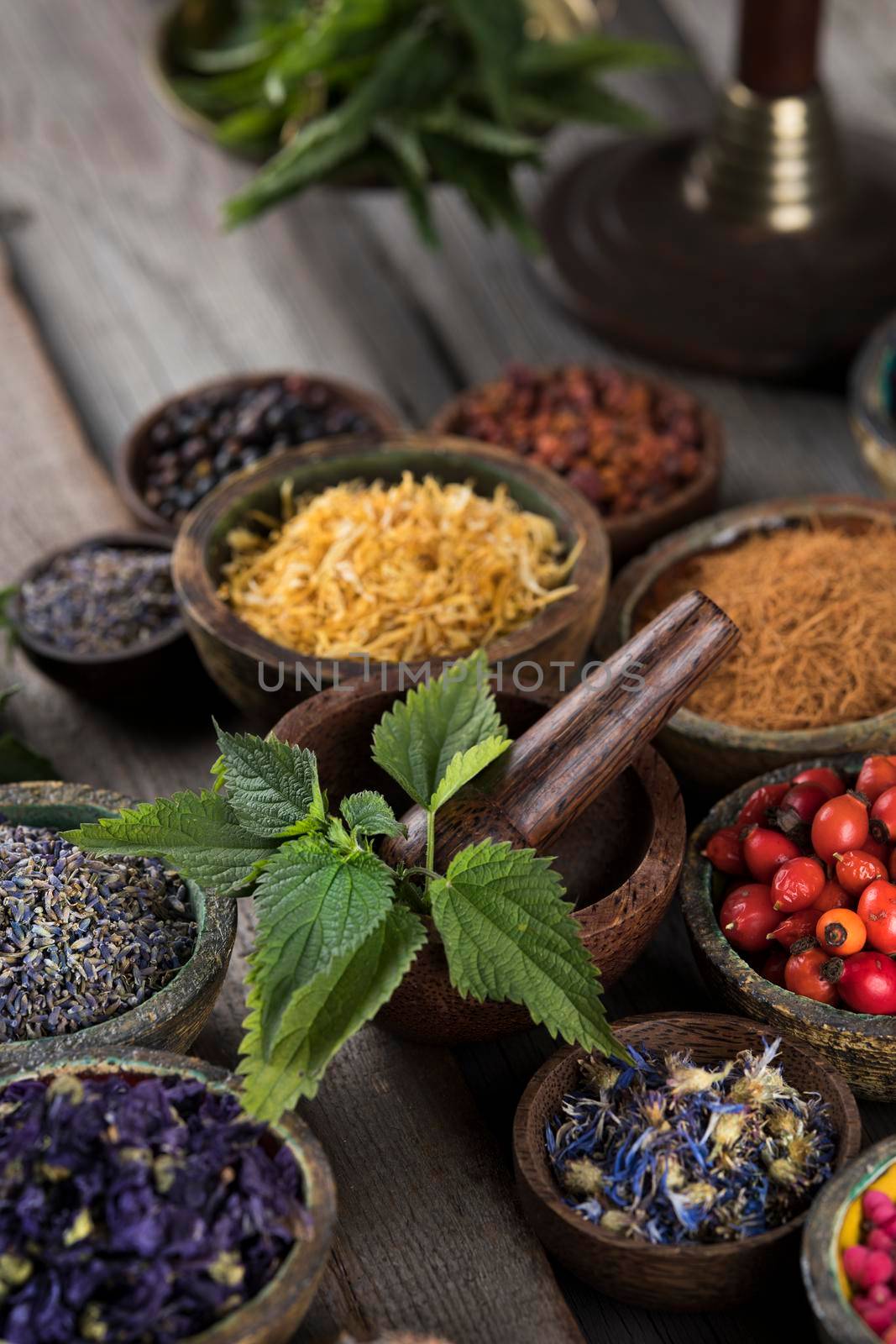 Alternative health, fresh herbal and mortar on wooden background