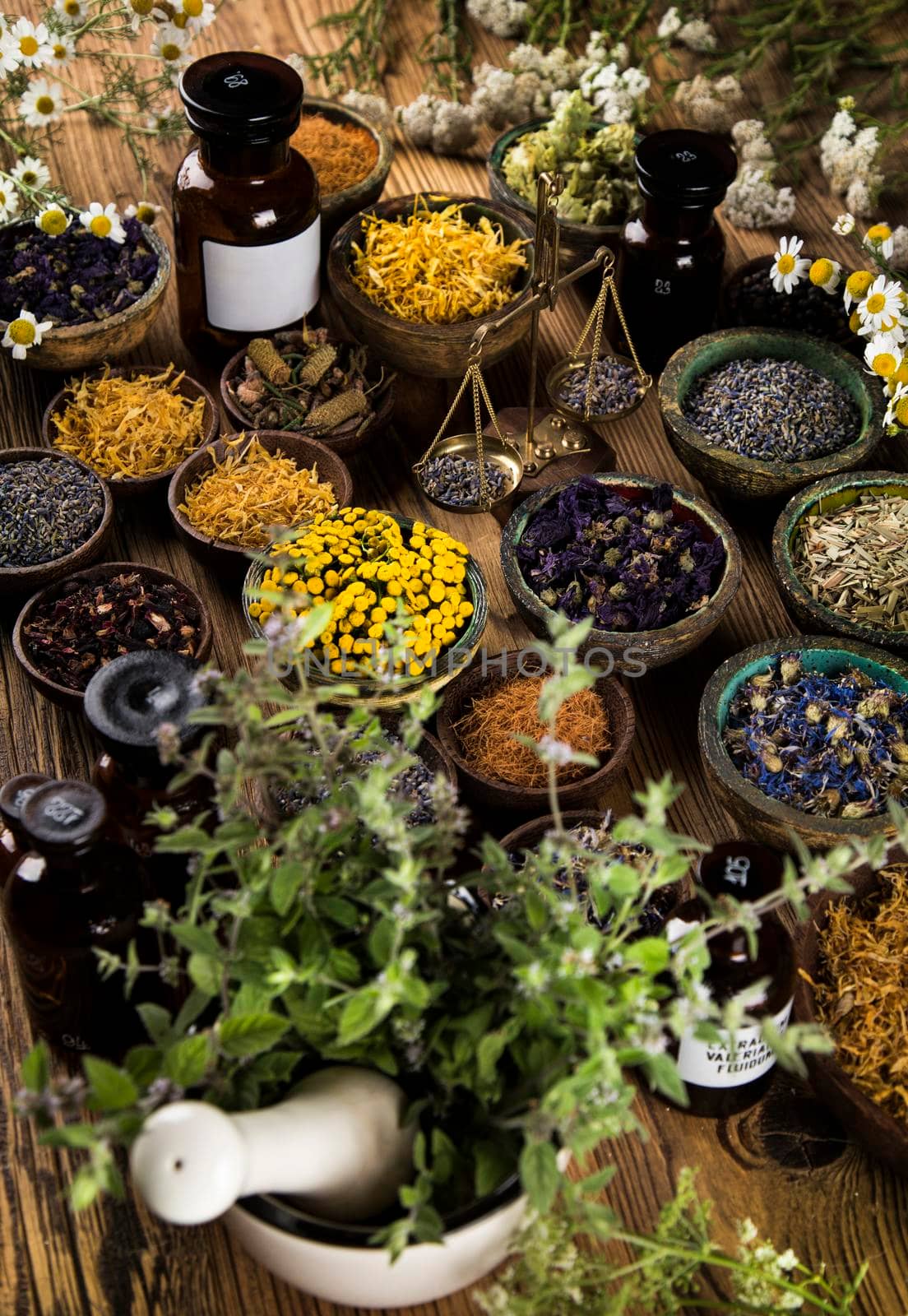 Herbs medicine and vintage wooden background