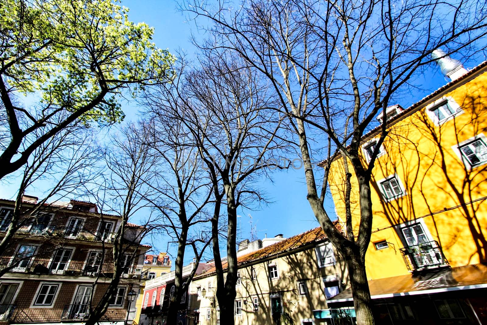 Colorful streets with majestic facades, windows and balconies of Lisbon city in Portugal on a sunny day