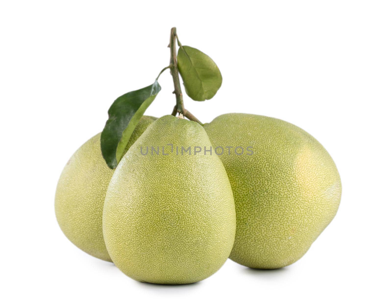 Fresh pomelo, pummelo, grapefruit, shaddock isolated on white background, close up, cut out, clipping path. Fruit for Mid-autumn festival.