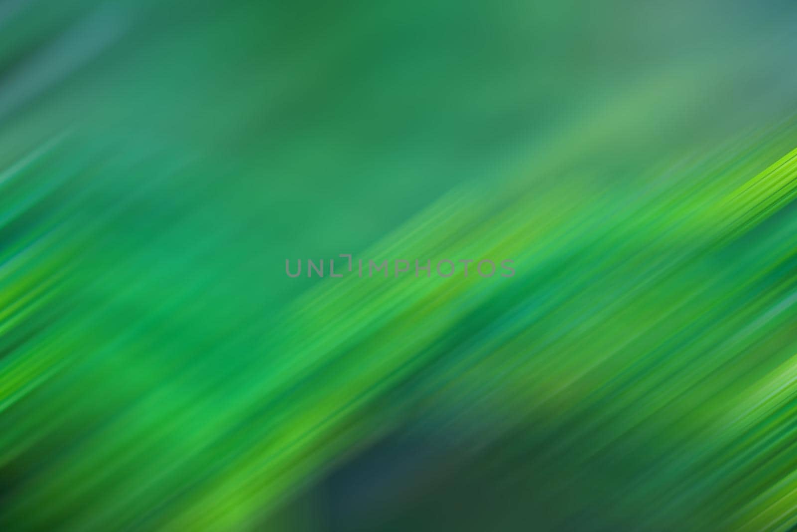 abstract blur green color for background,blurred and defocused effect spring concept for design background abstract green bubble outdoor focus texture 