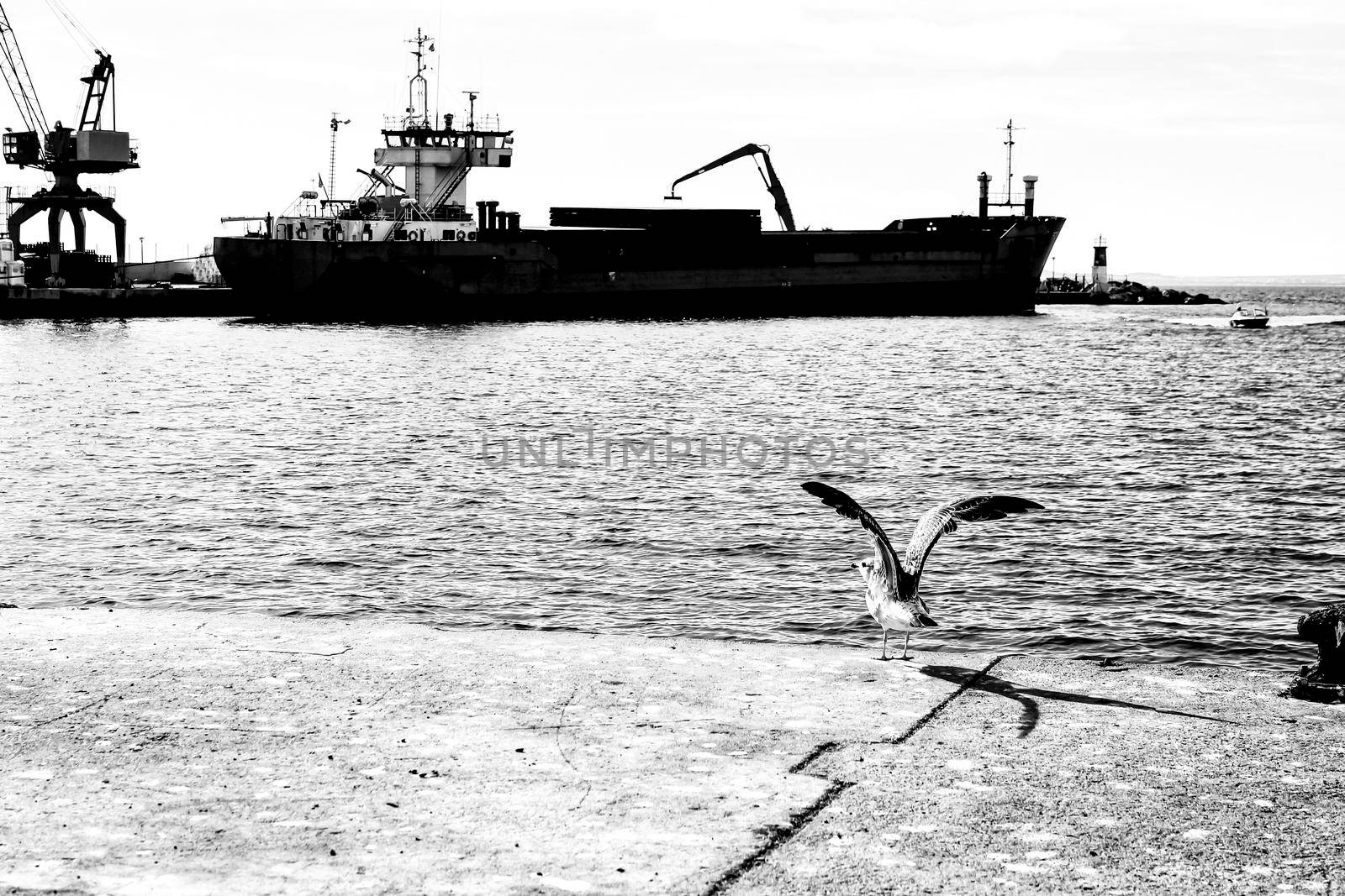 Merchant ship unloading at the dock in Santa Pola, Alicante, Spain